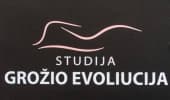 Grožio evoliucija