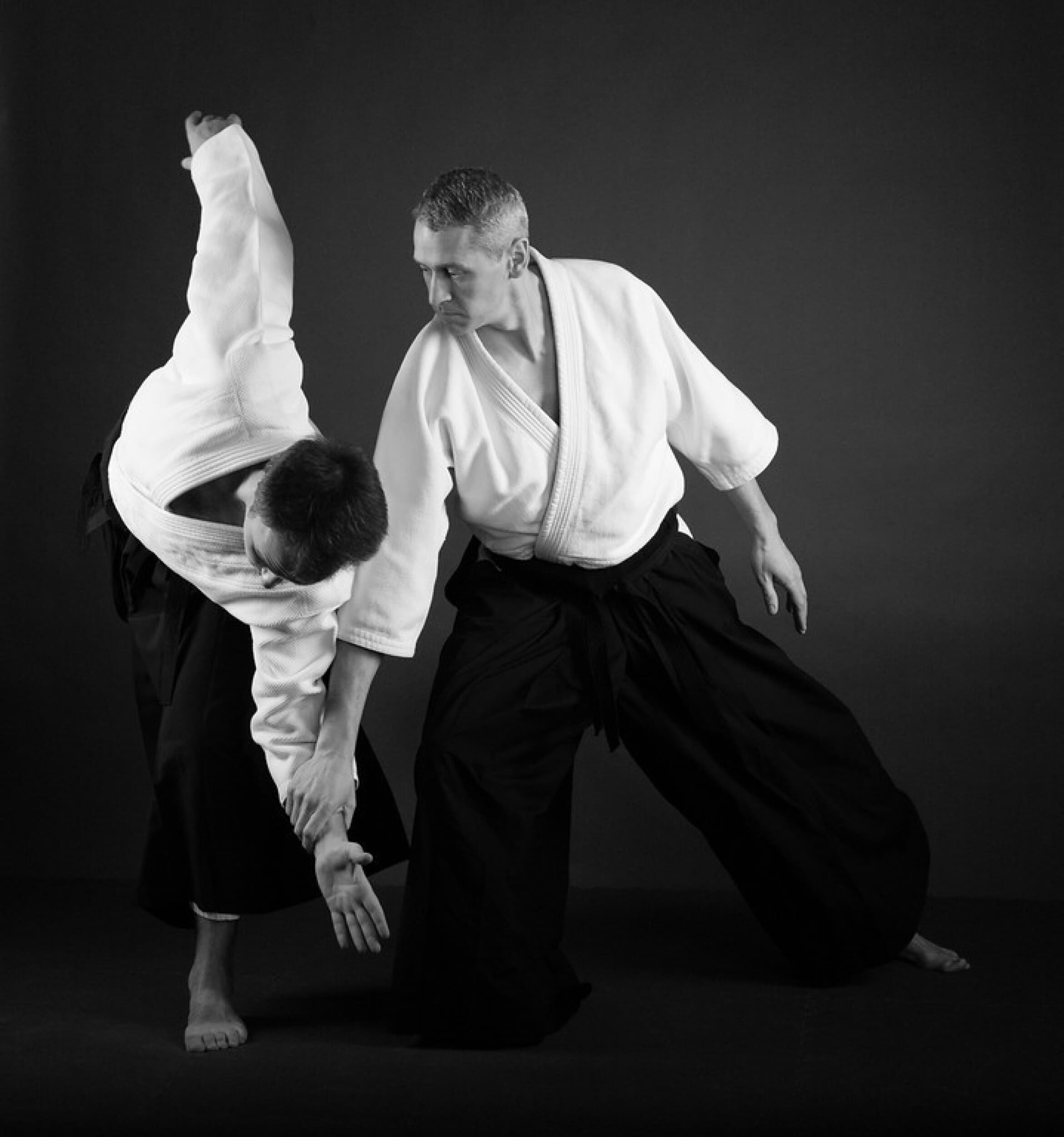 Aikido treniruočių kursas