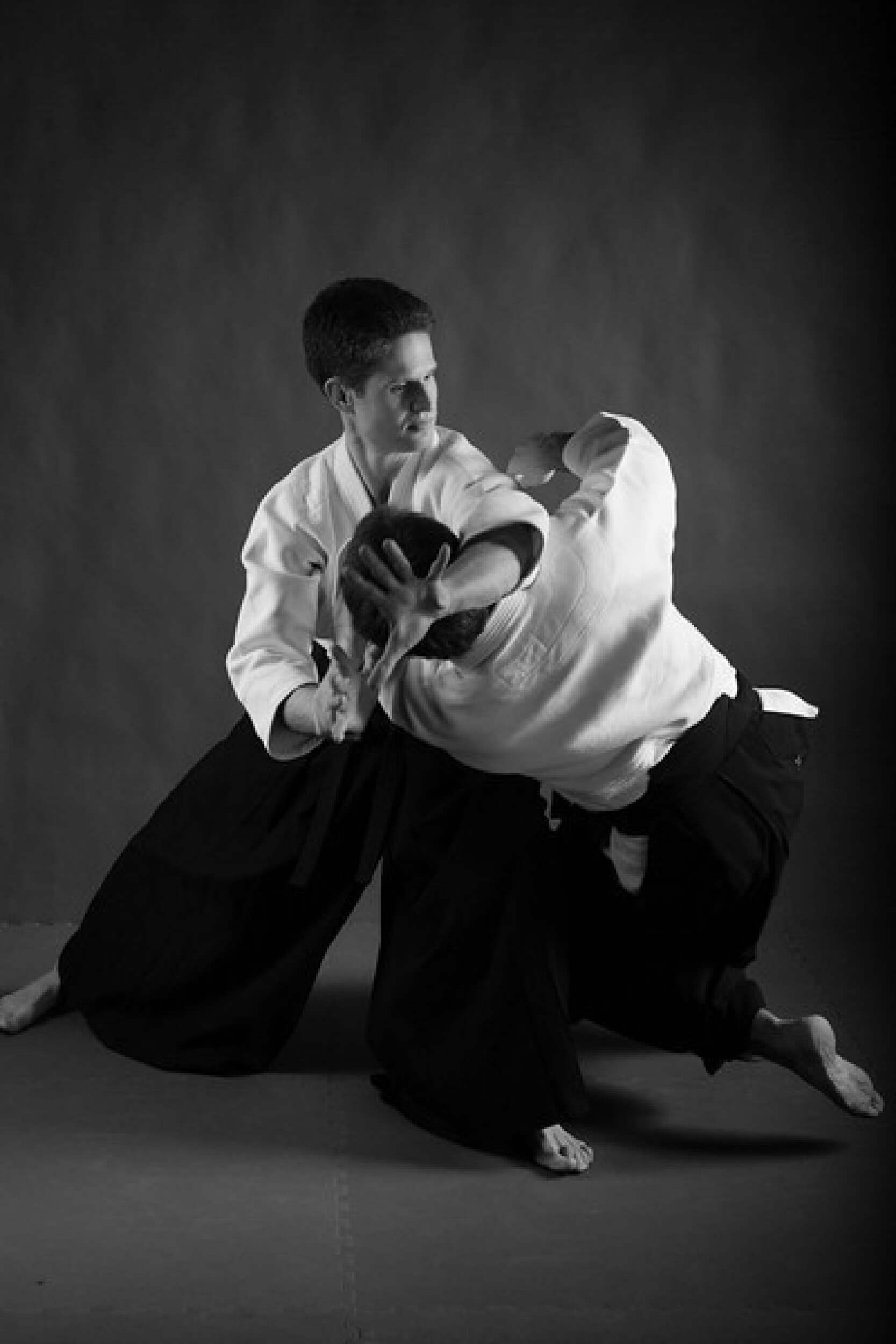 Aikido treniruočių kursas