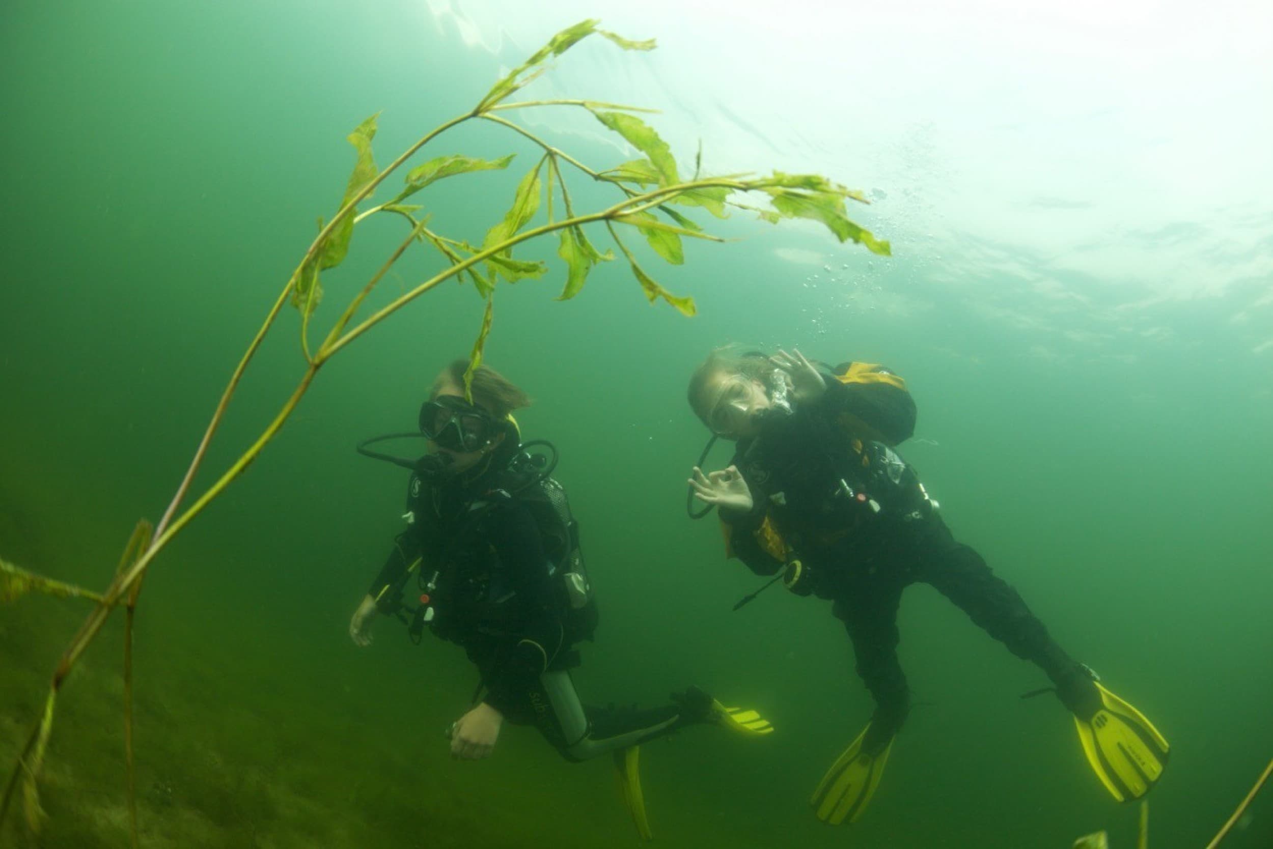 Nardymo kursai „Scuba diver“ | Laisvalaikio Dovanos
