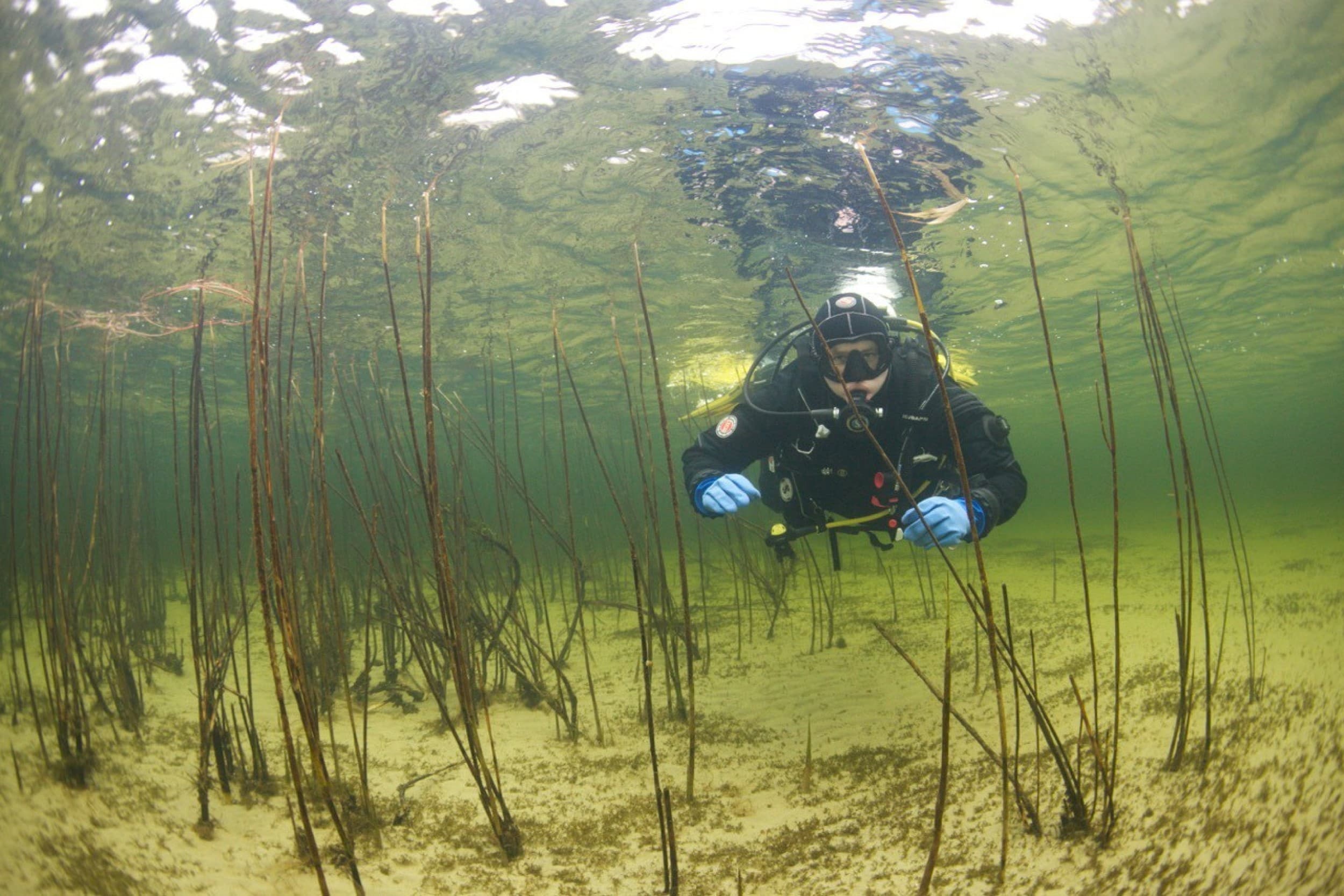 Nardymo kursai „Scuba diver“ | Laisvalaikio Dovanos