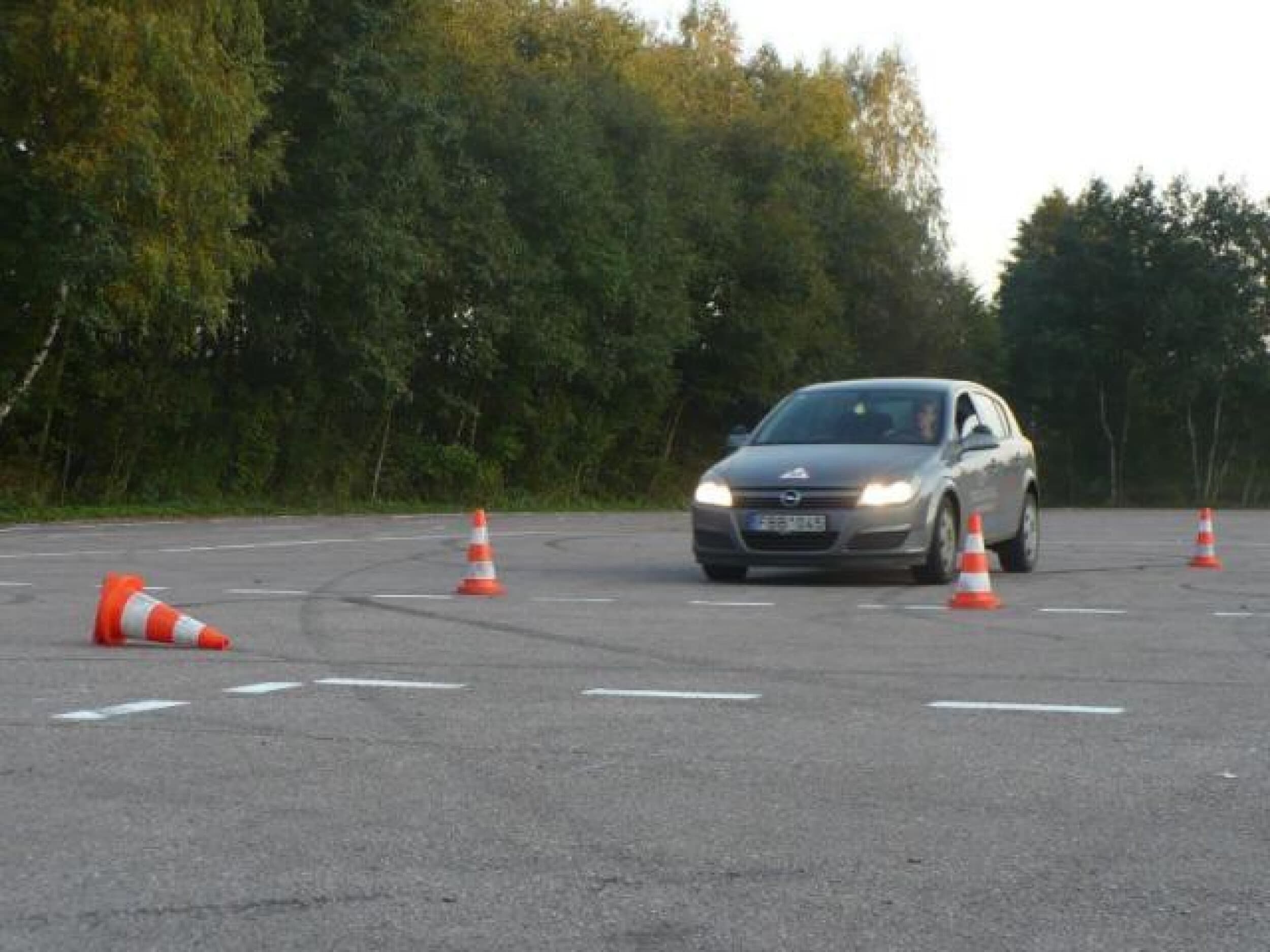 AUTOLOGIJA dovanų čekis | Laisvalaikio Dovanos
