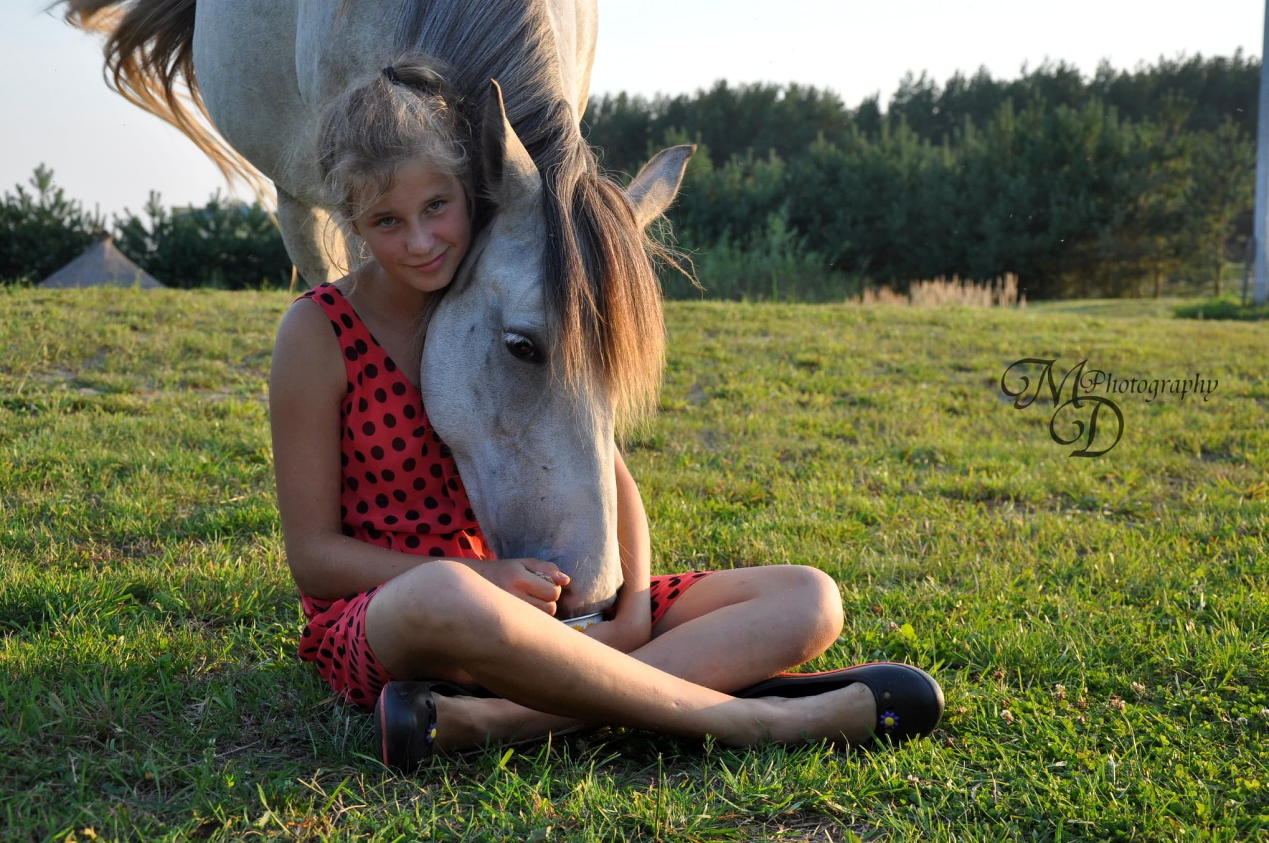 Fotosesija su žirgu | Laisvalaikio Dovanos