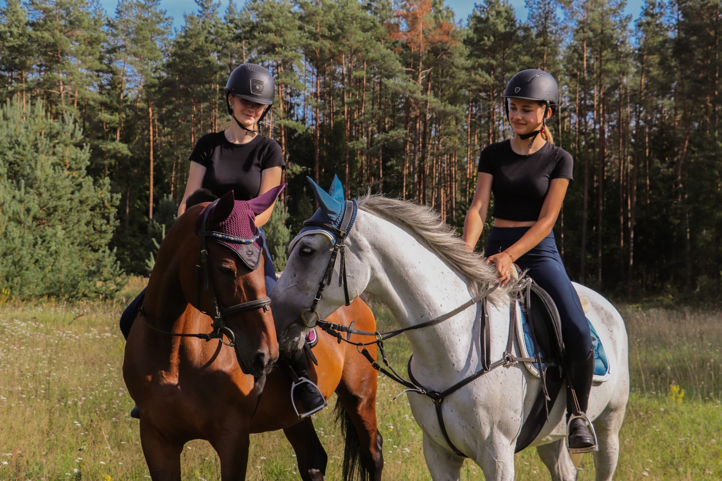 Jodinėjimas Trakų apylinkėse DVIEM | Laisvalaikio Dovanos