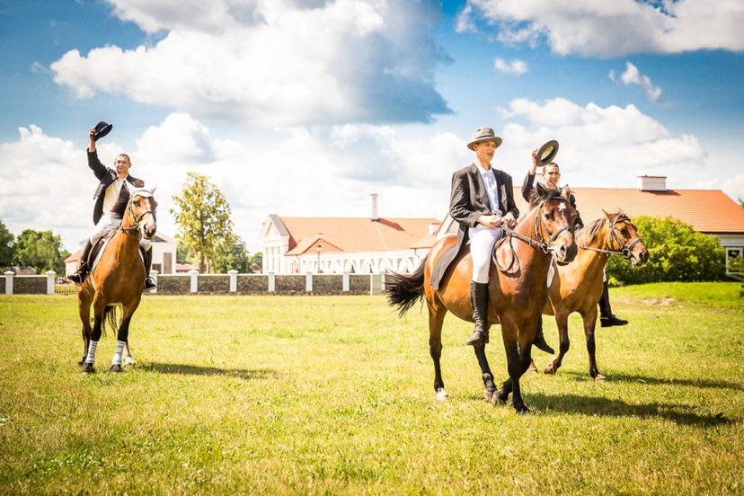 Dvariška naktis ir jodinėjimas žirgais DVIEM