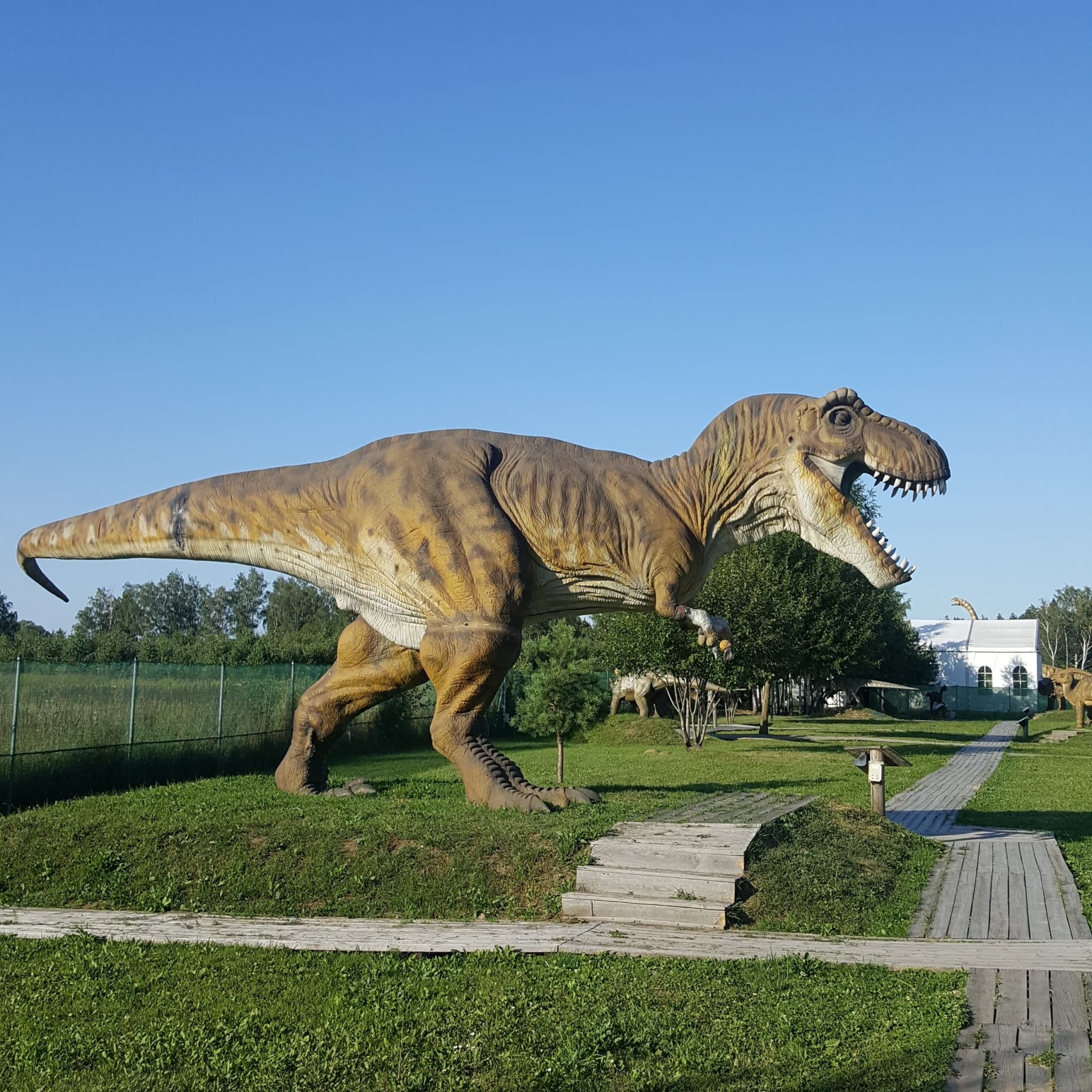 Diena su dinozaurais „Dino pramogų parke“ (2 asmenims) | Laisvalaikio Dovanos