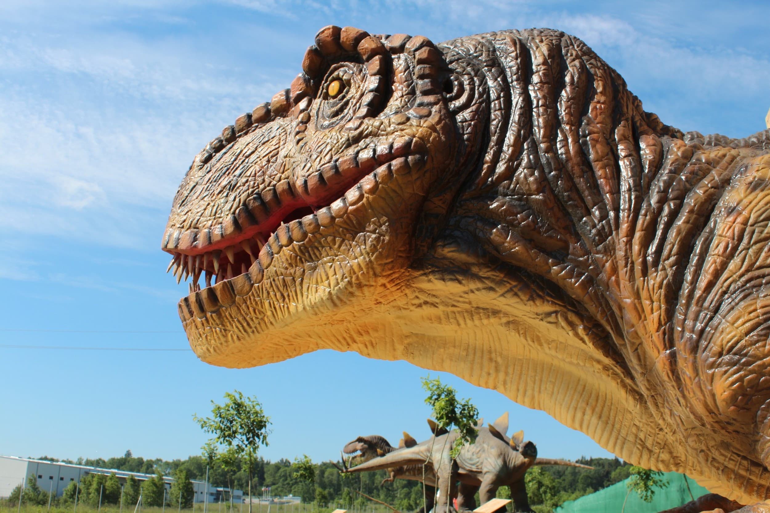 Diena su dinozaurais „Dino pramogų parke“ (2 asmenims) | Laisvalaikio Dovanos