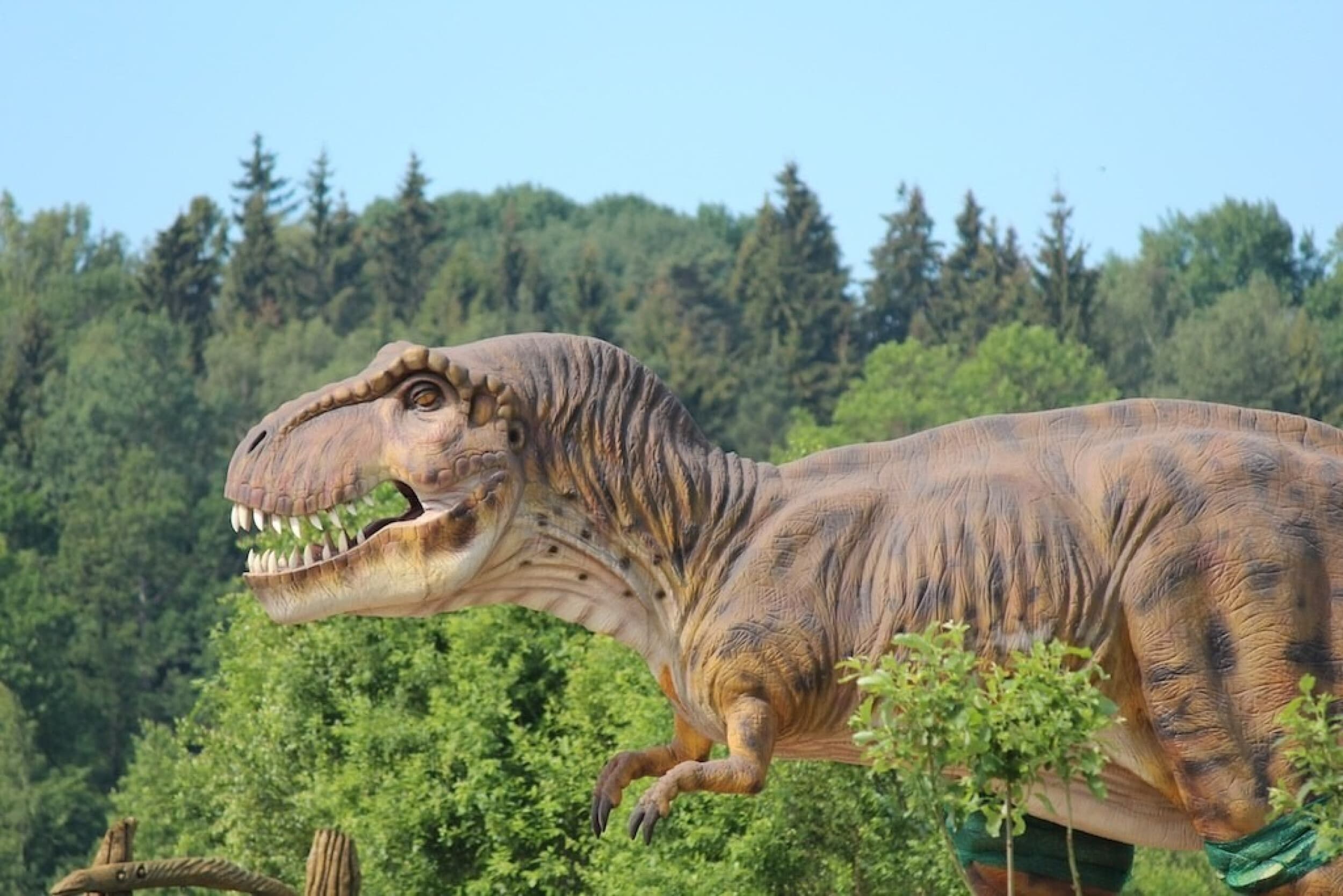Diena su dinozaurais „Dino pramogų parke“ (5 asmenims)