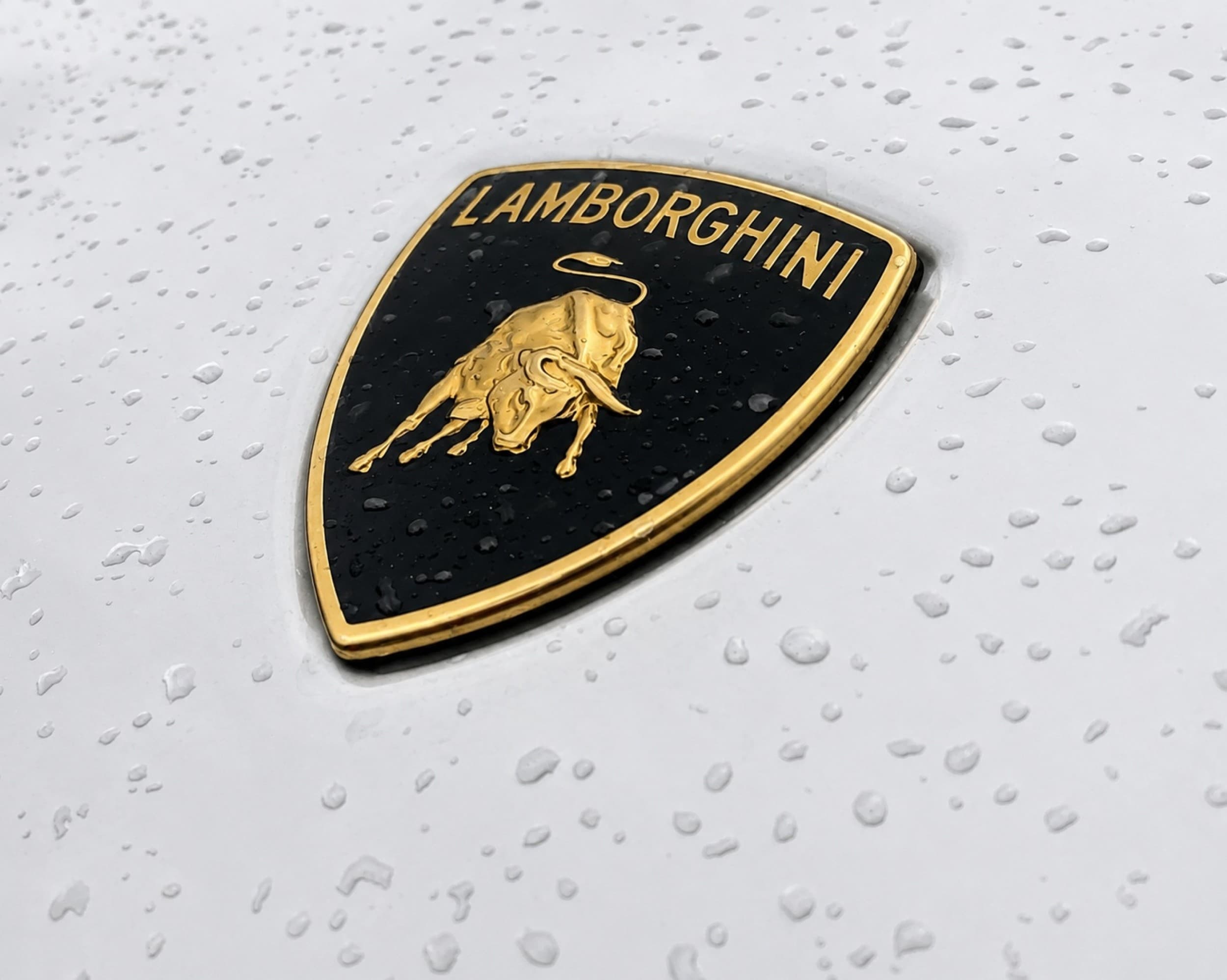 Pasivažinėjimas Ferrari arba Lamborghini miesto gatvėse