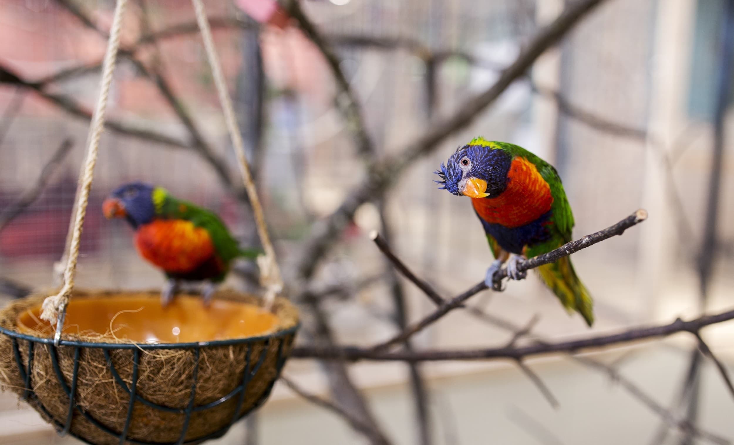 Apsilankymas zoologijos sode „Zoopark“ Vilniuje DVIEM | Laisvalaikio Dovanos