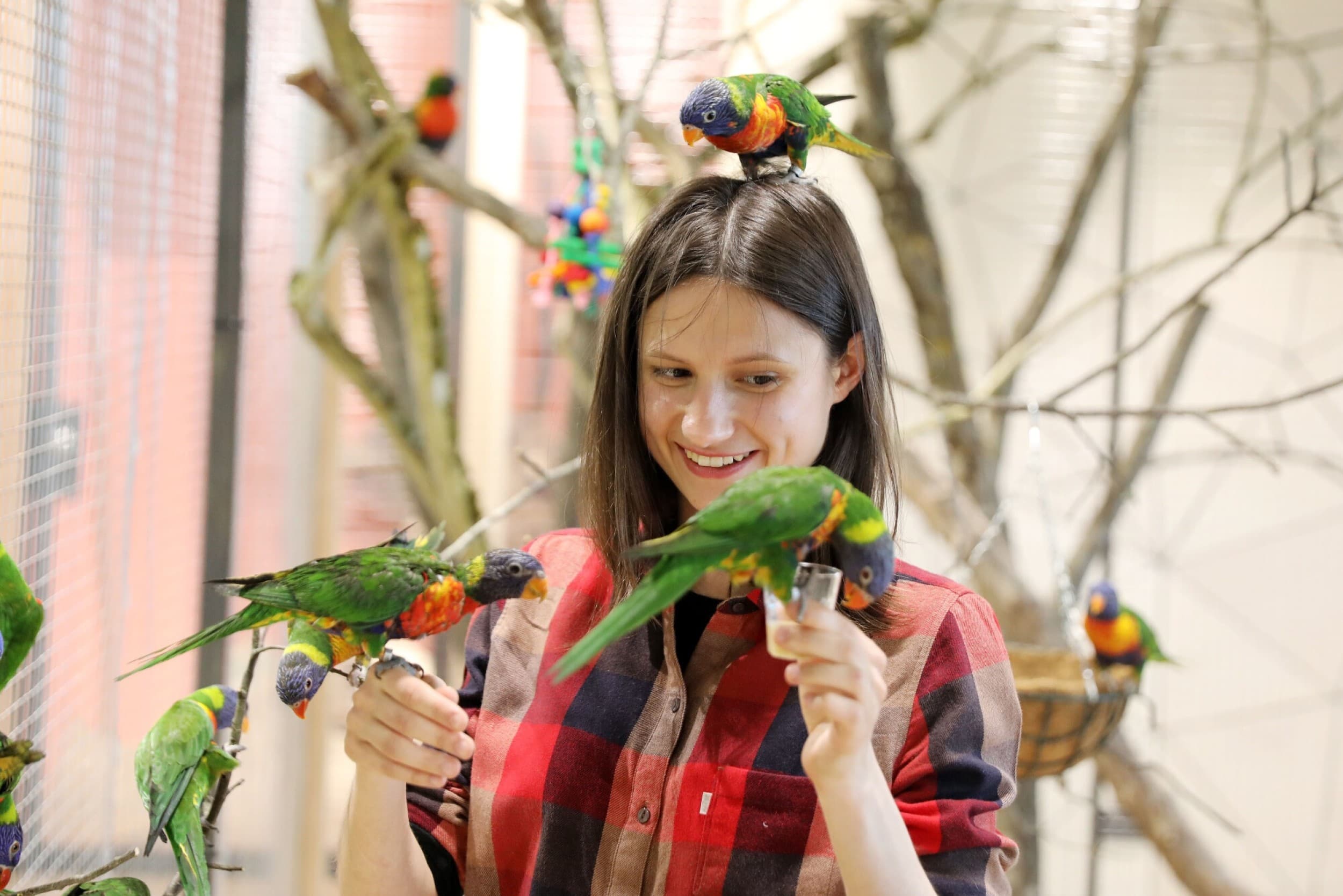 Apsilankymas zoologijos sode „Zoopark“ Vilniuje DVIEM | Laisvalaikio Dovanos