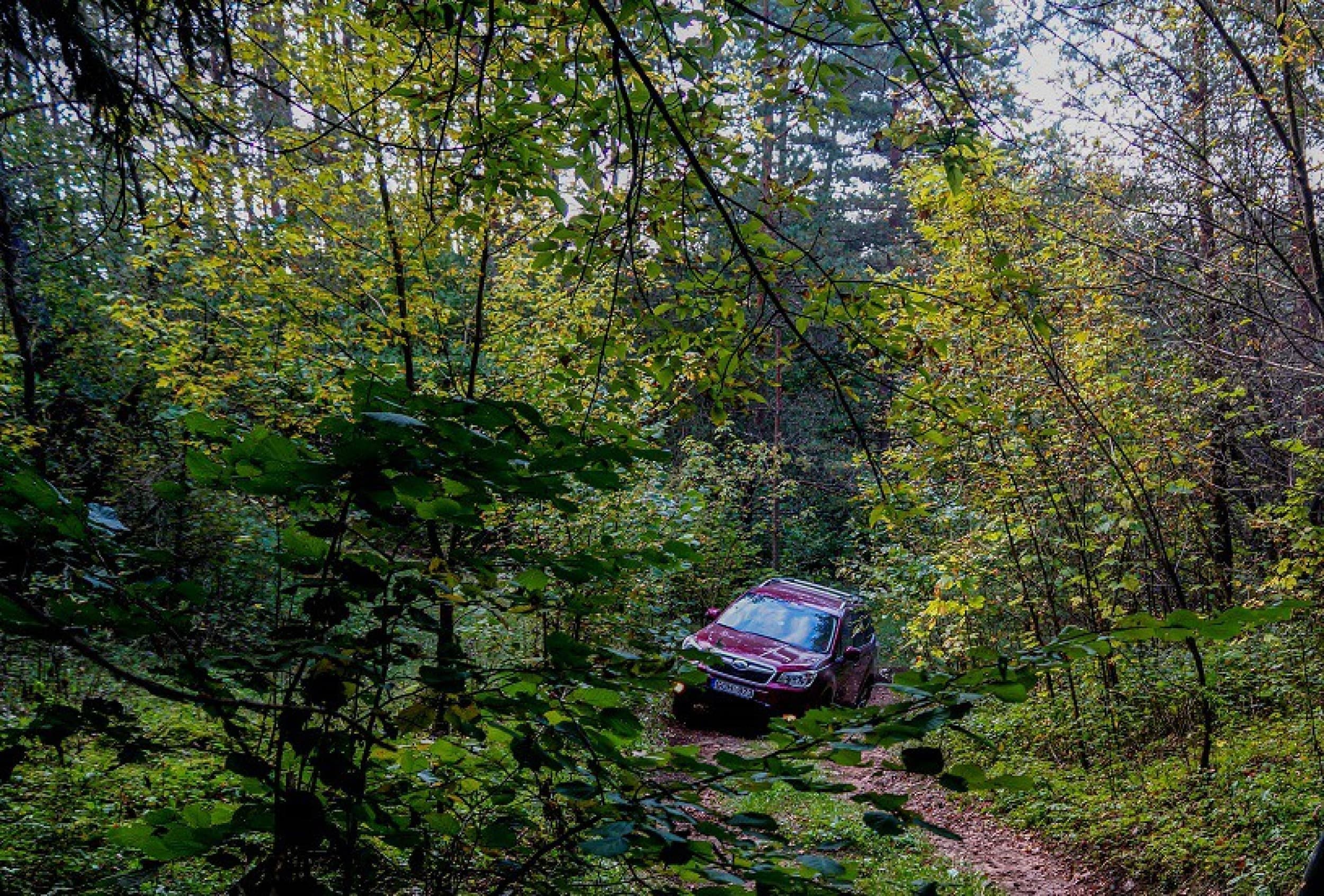 Maršrutas savarankiškai 4x4 kelionei