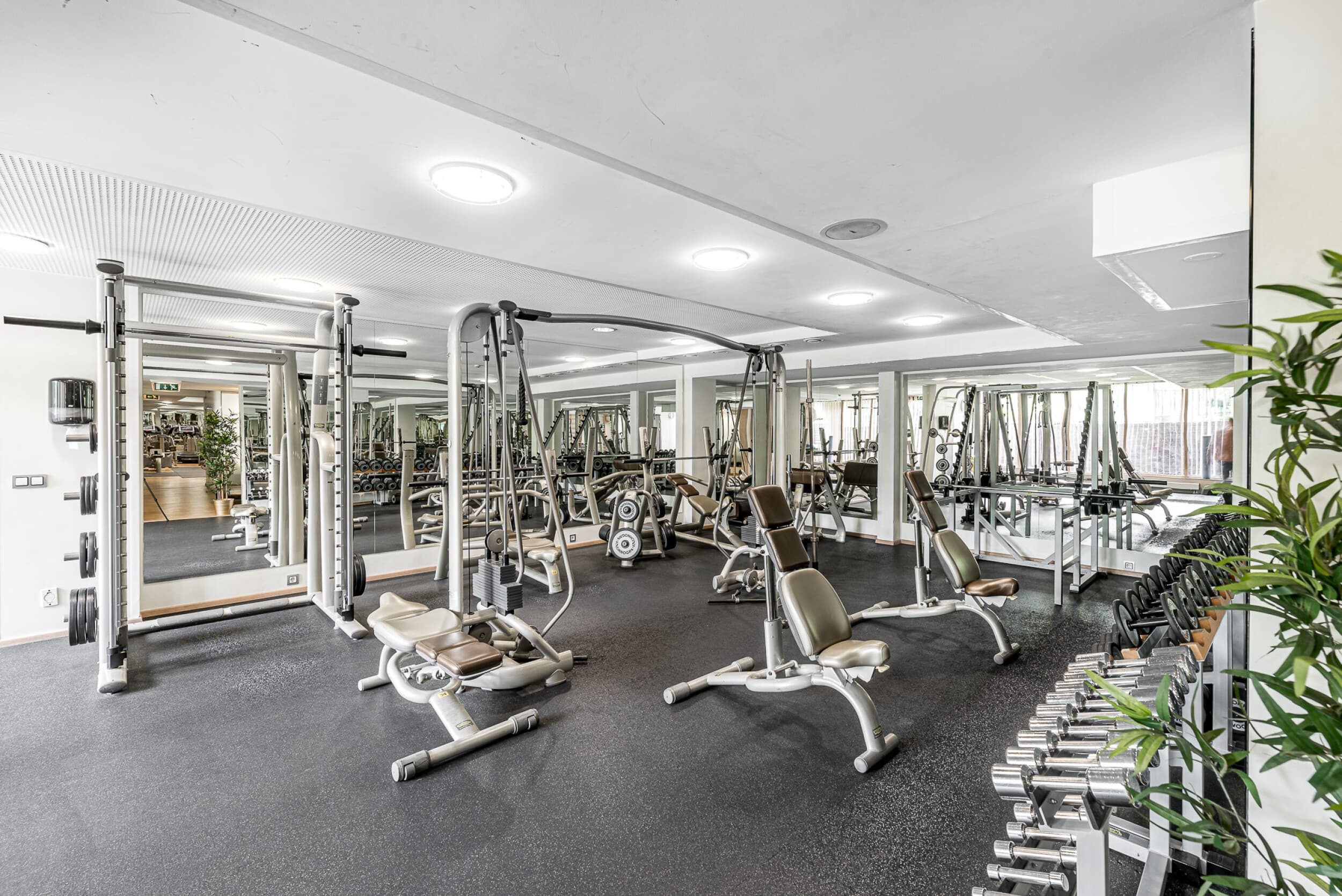 „The Royal Athletic Club“ vienkartinis apsilankymas vienam | Laisvalaikio Dovanos