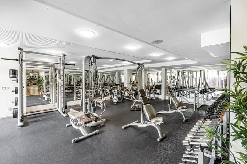 „The Royal Athletic Club“ vienkartinis apsilankymas vienam