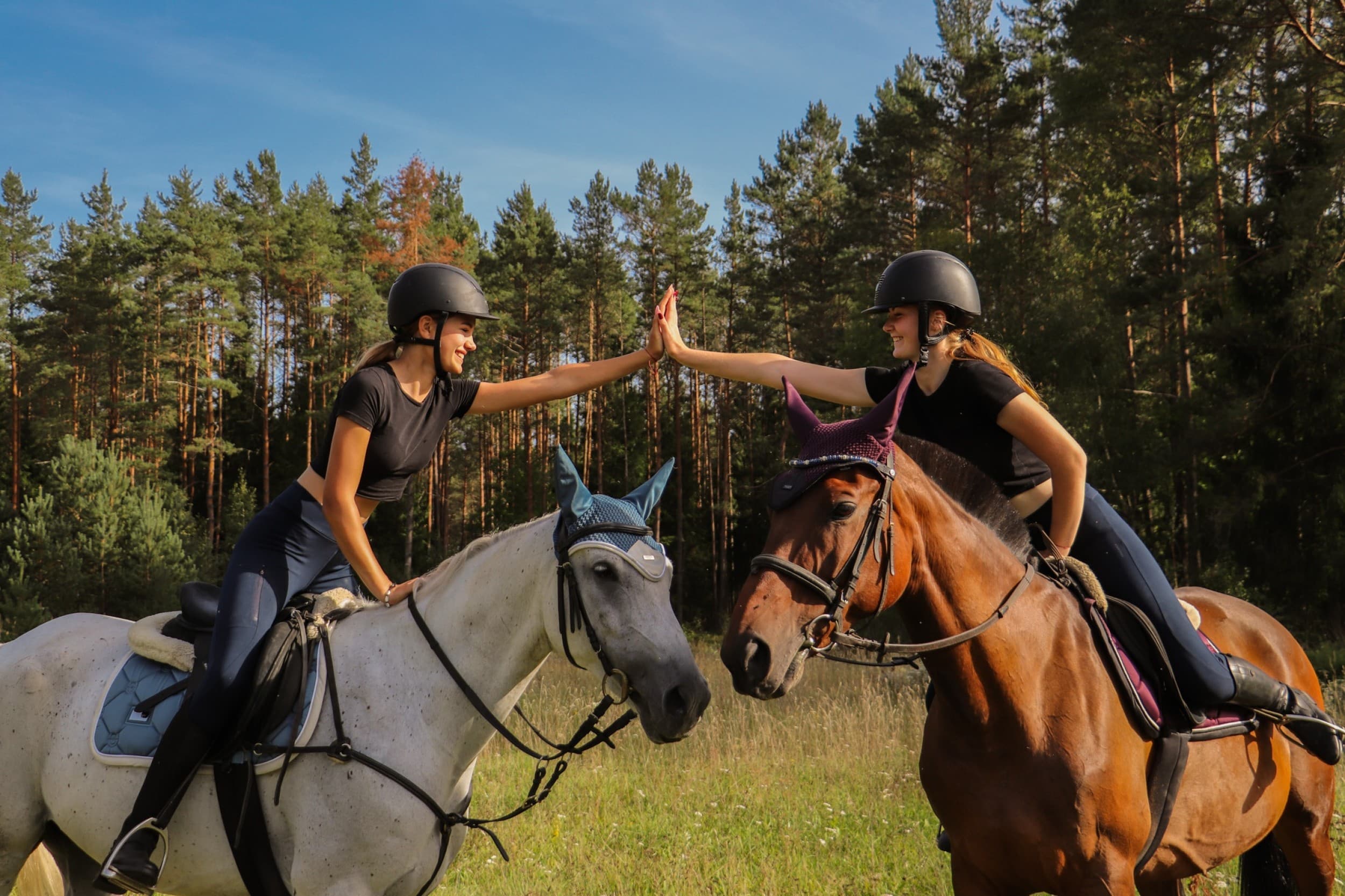 Jodinėjimas Trakų apylinkėse | Laisvalaikio Dovanos