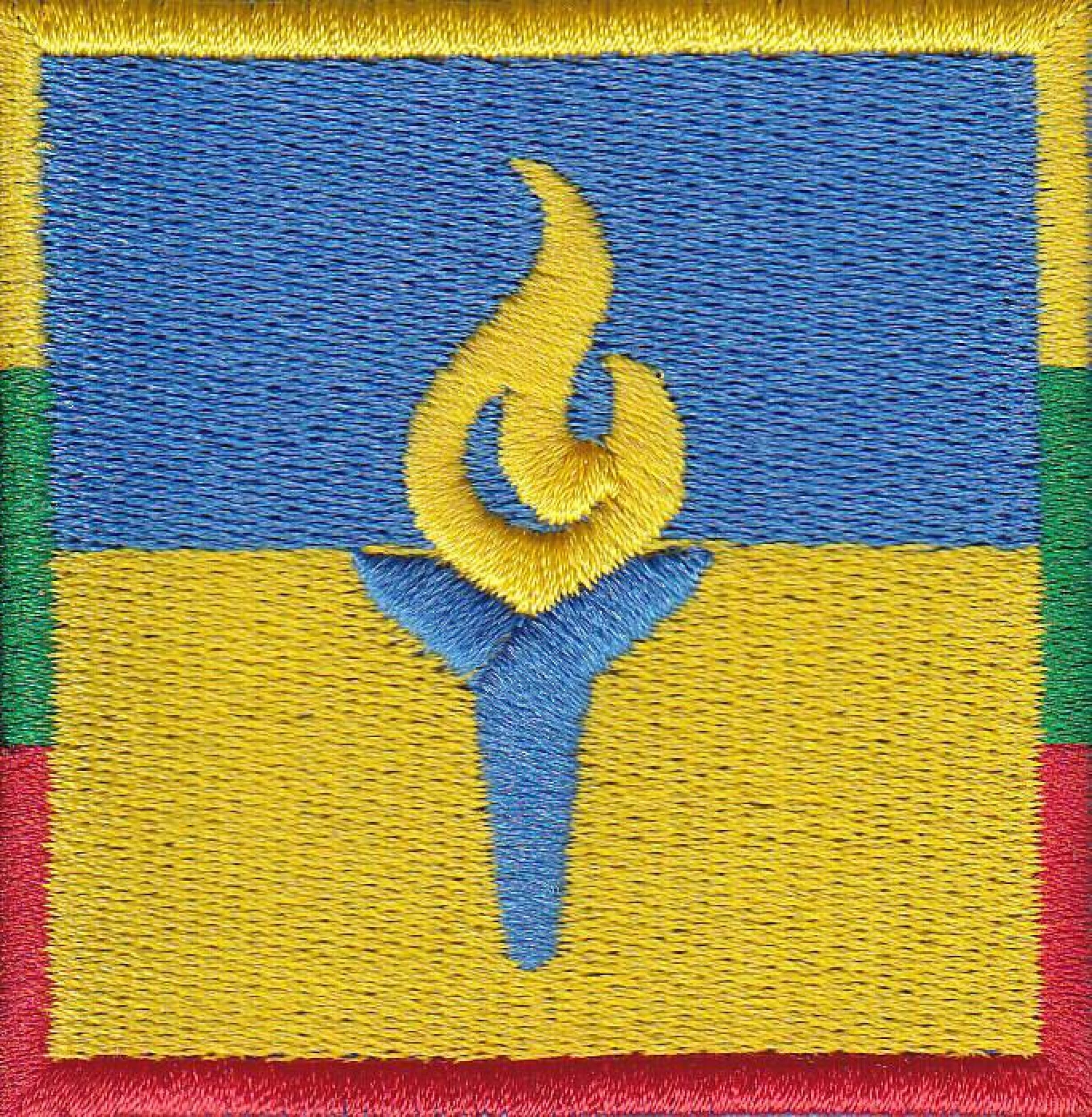 Parama organizacijai „Blue/Yellow“