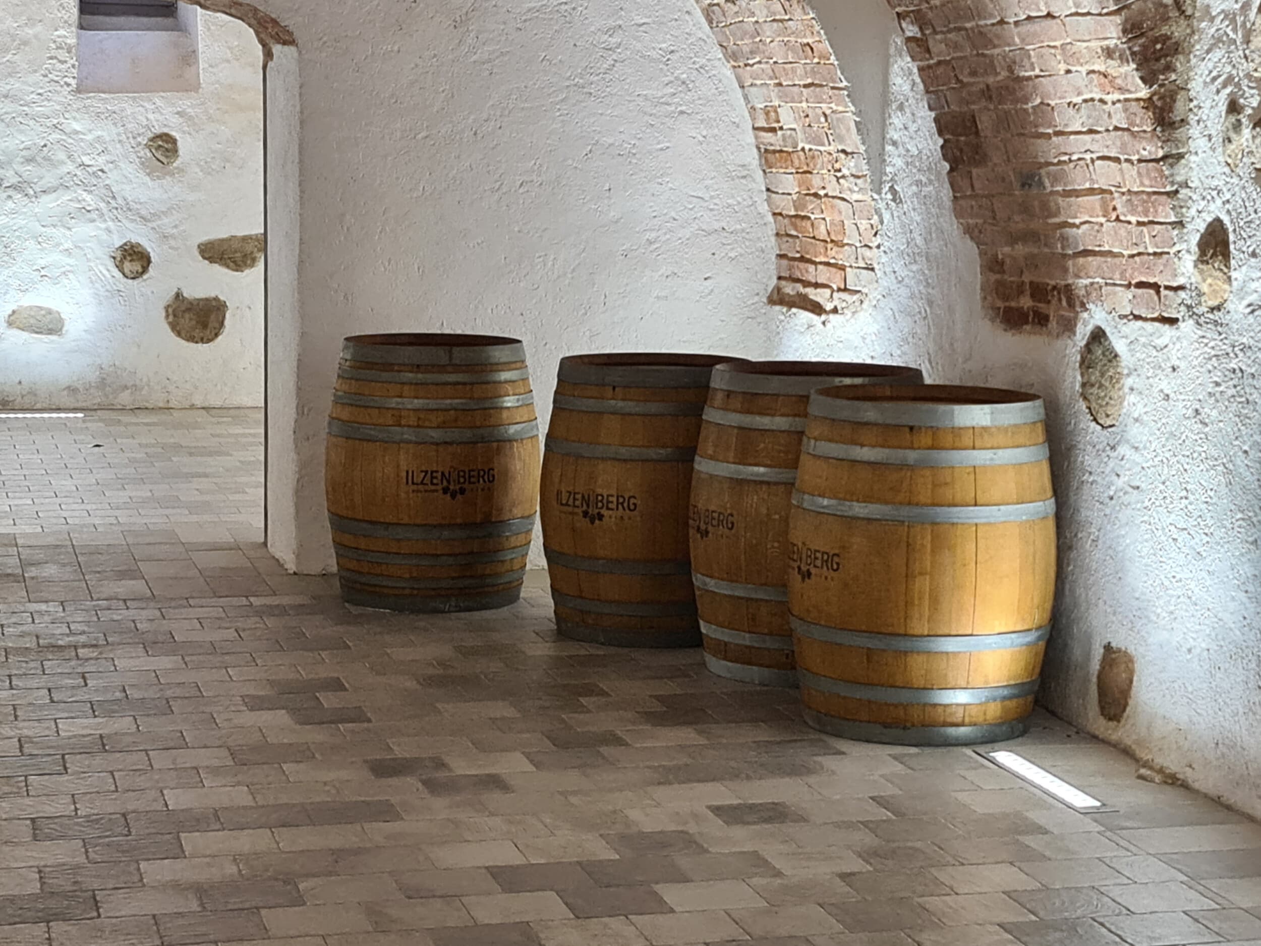 Ilzenbergo dvaro vynų degustacija | Laisvalaikio Dovanos
