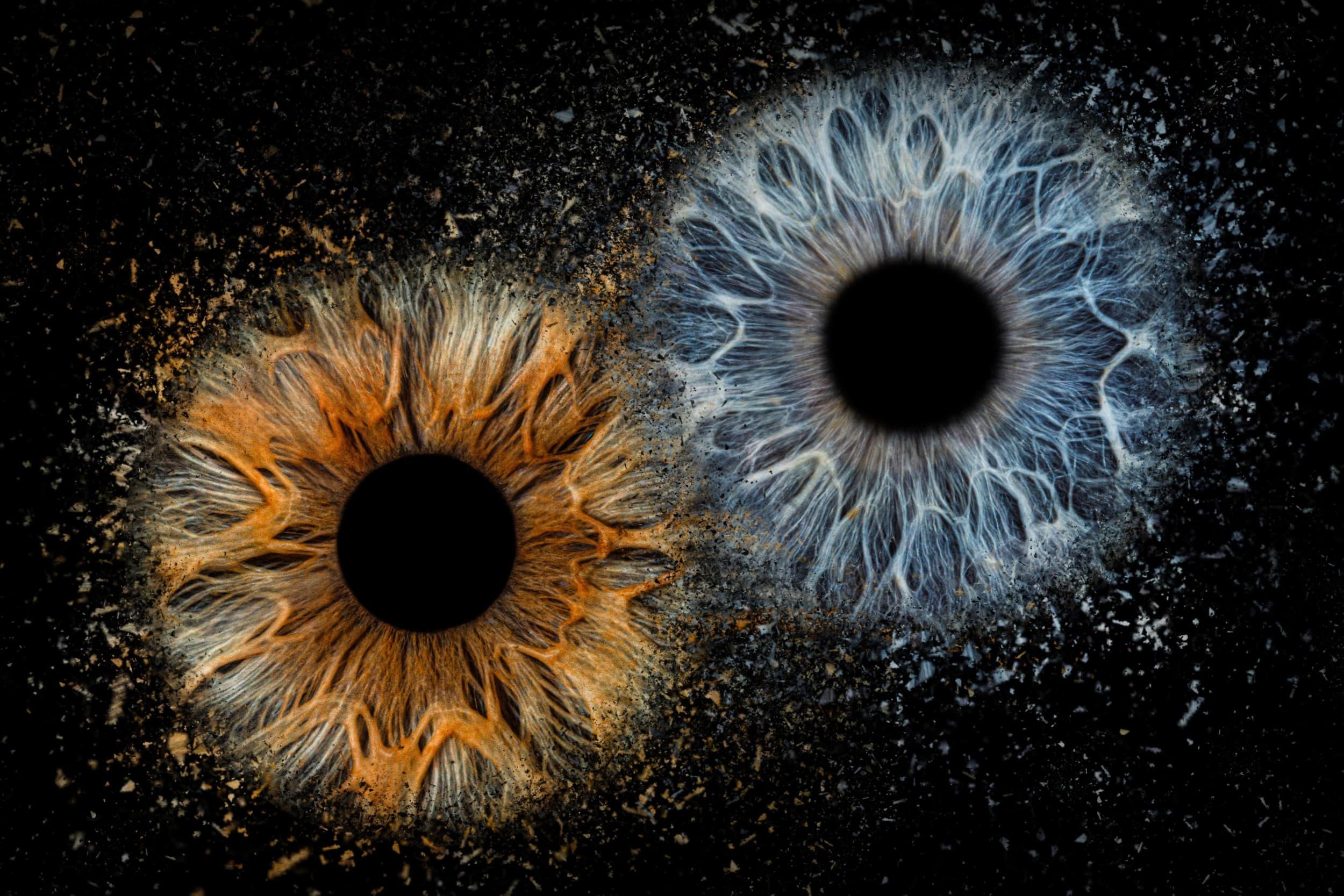 2 akių rainelių nuotrauka fotodrobėje