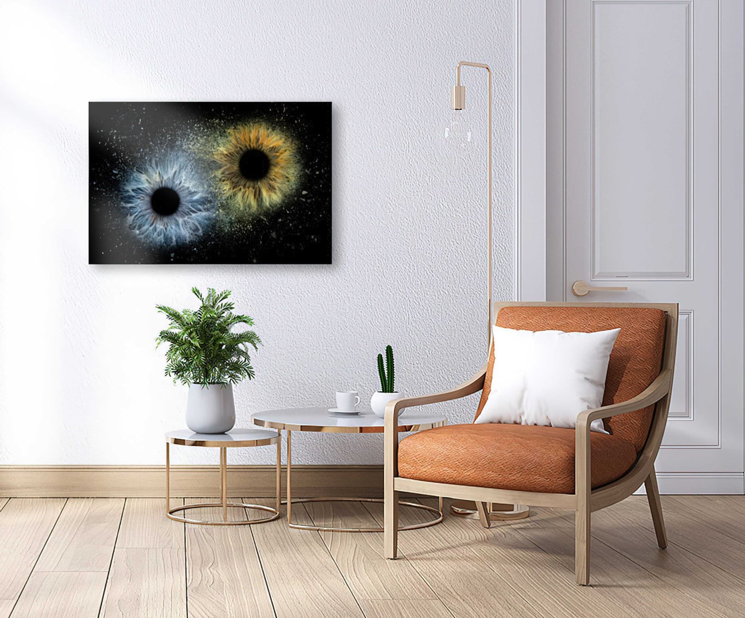 2 akių rainelių nuotrauka fotodrobėje