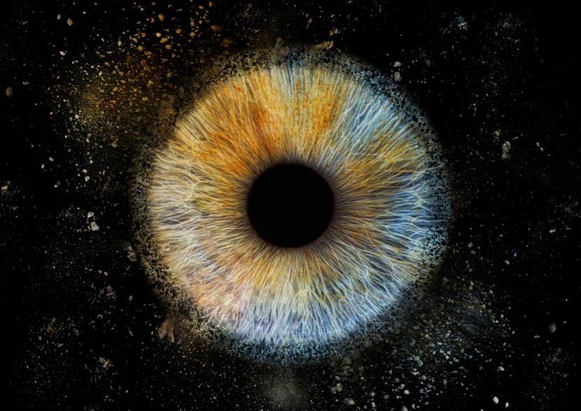 Eye2Eye skaitmeninė akies rainelės nuotrauka