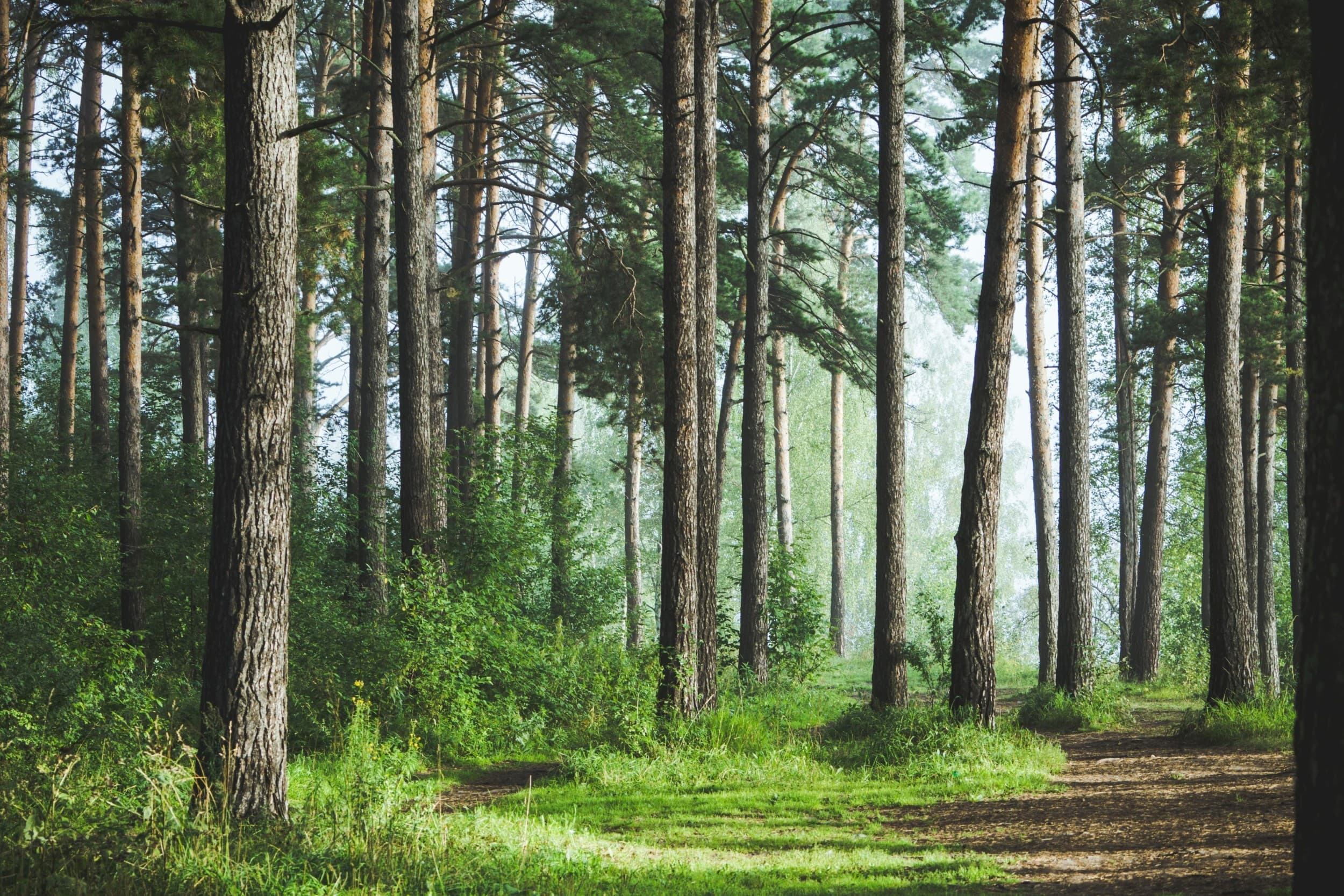 Privati grupinė diskgolfo treniruotė | Laisvalaikio Dovanos