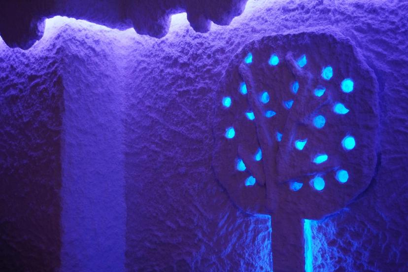 Apsilankymas druskų kambaryje suaugusiam