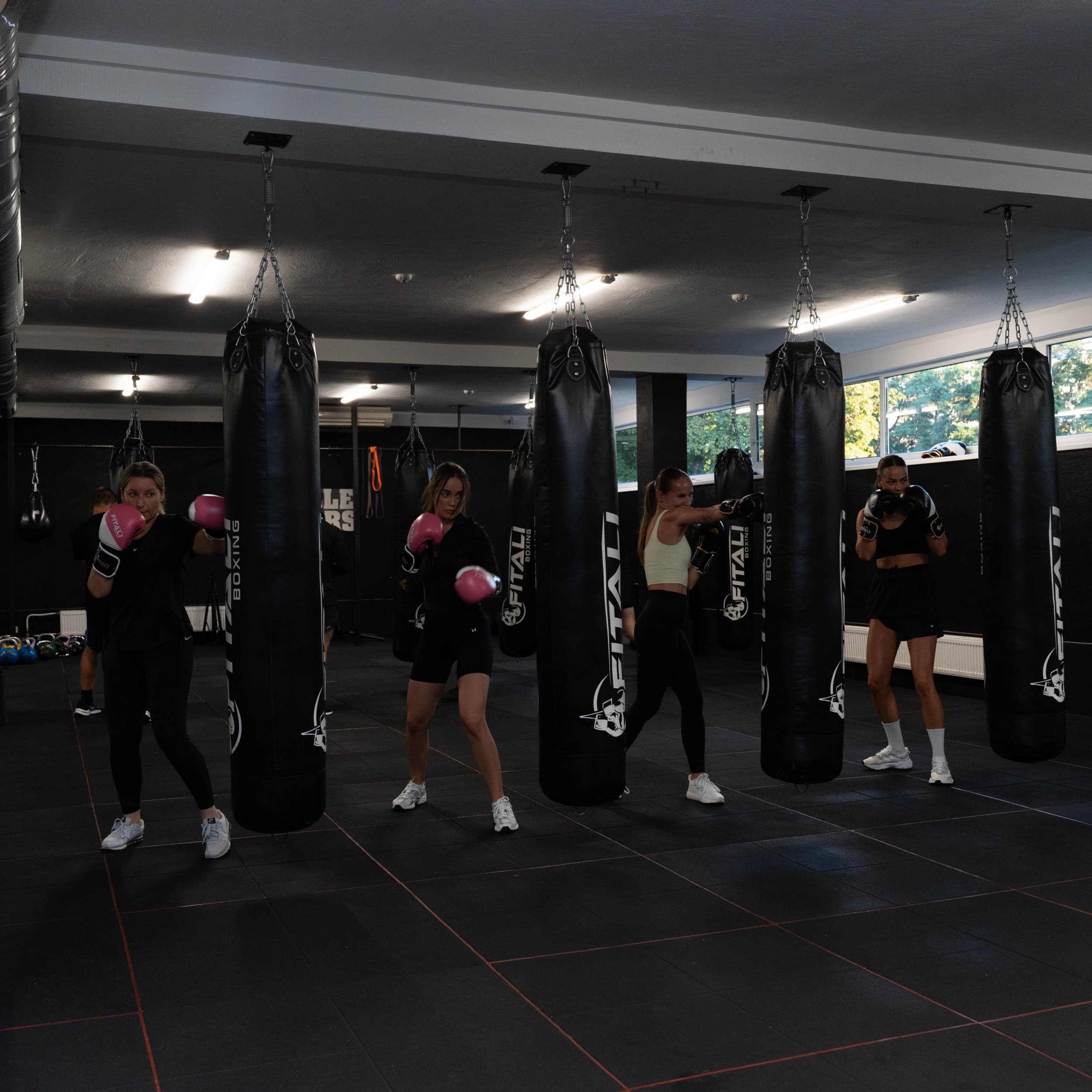 Individuali treniruotė sporto klube „FitAli Boxing“