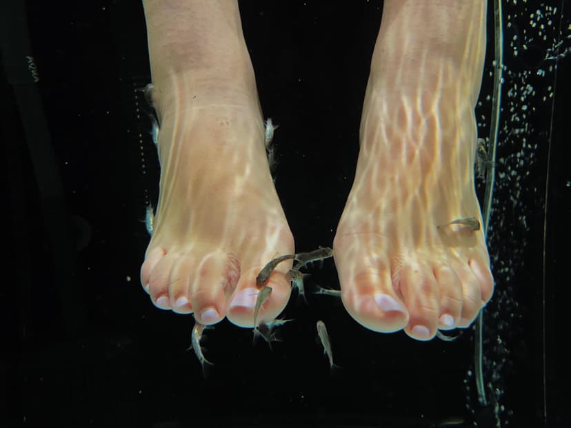 Žuvyčių SPA kojoms DVIEM (10 min.)