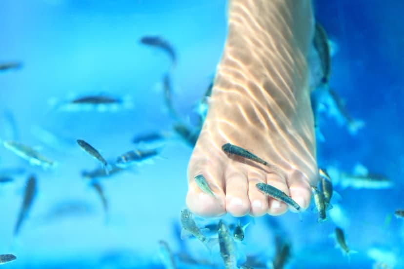 Žuvyčių SPA kojoms DVIEM (20 min.)