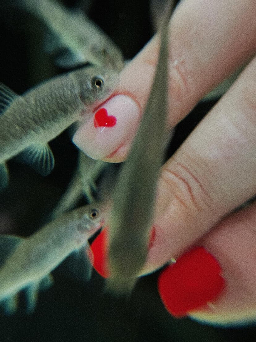 Žuvyčių SPA rankoms (10 min.)