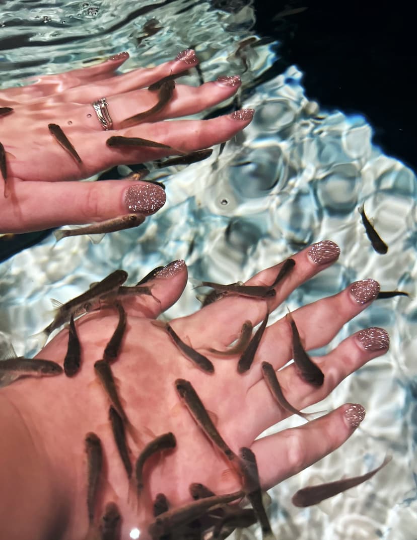 Žuvyčių SPA rankoms (20 min.)