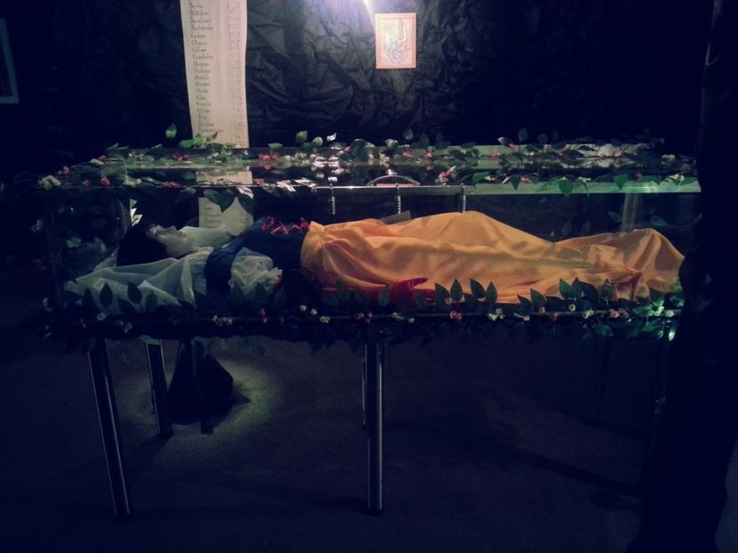 Pabėgimo kambarys „Begalinė istorija“