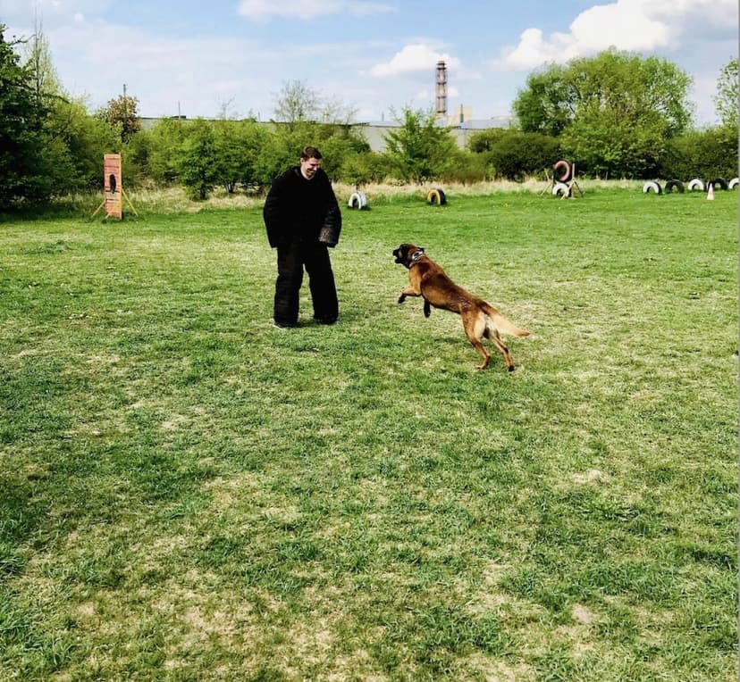 Ekstremalus sulaikymas su šunimi 