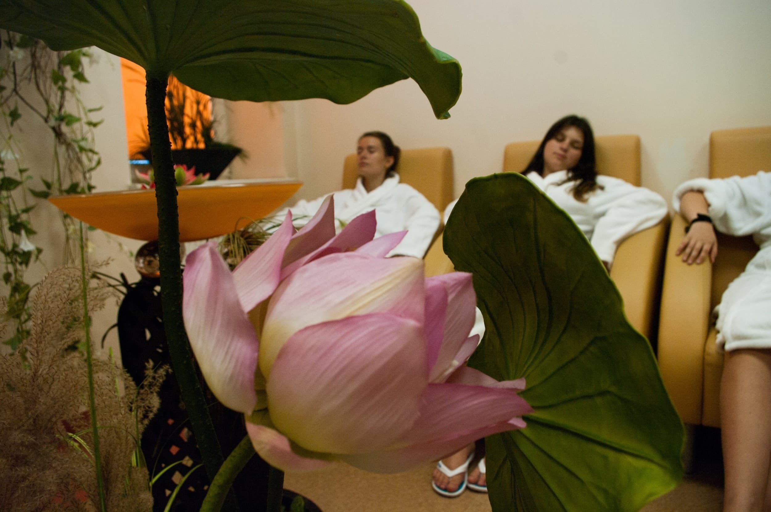 Atpalaiduojanti SPA programa „Saldusis poilsis“