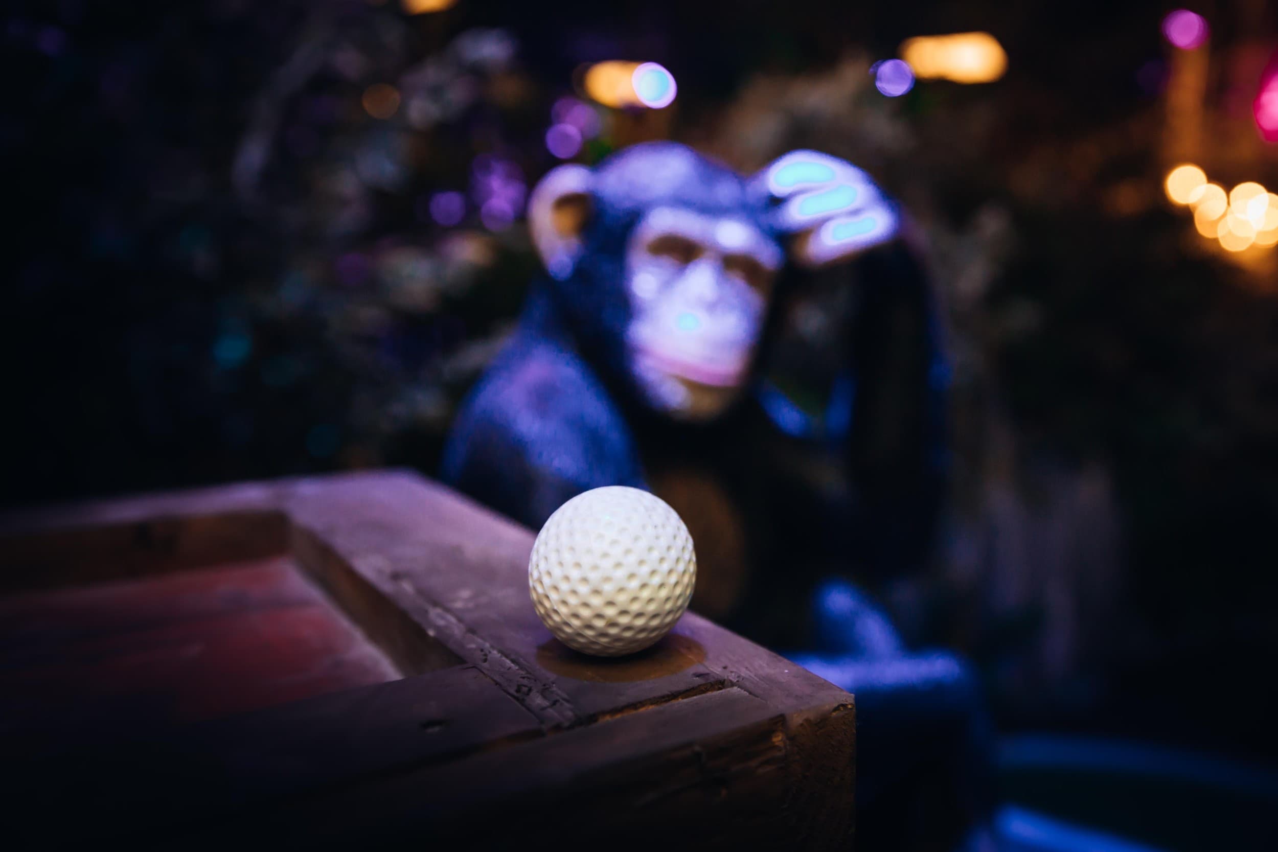 Mini golfo pramoga dviem „Jungle Monkeyz“ studijoje