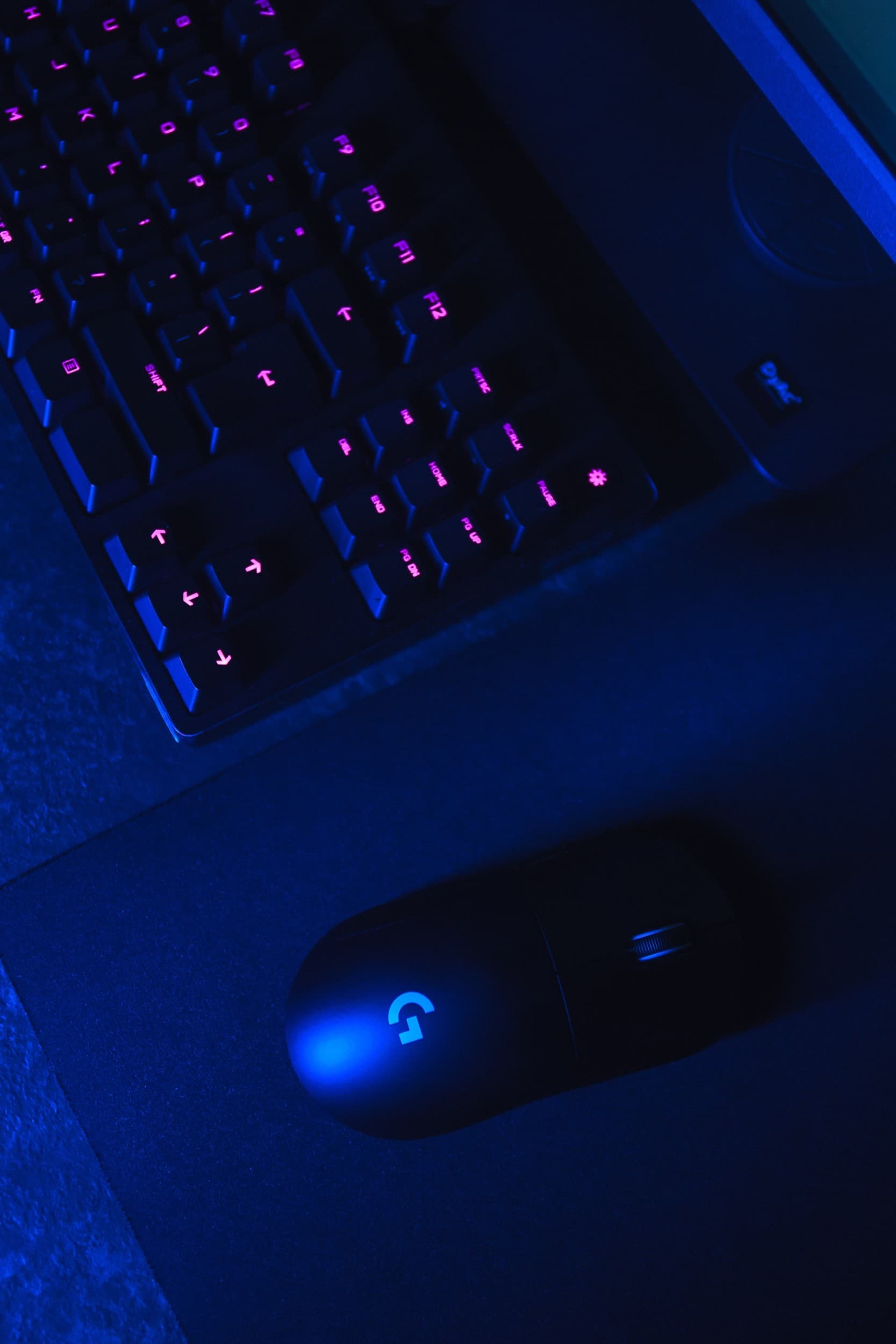 „CASTA“ Cyber Club dovanų čekis | Laisvalaikio Dovanos