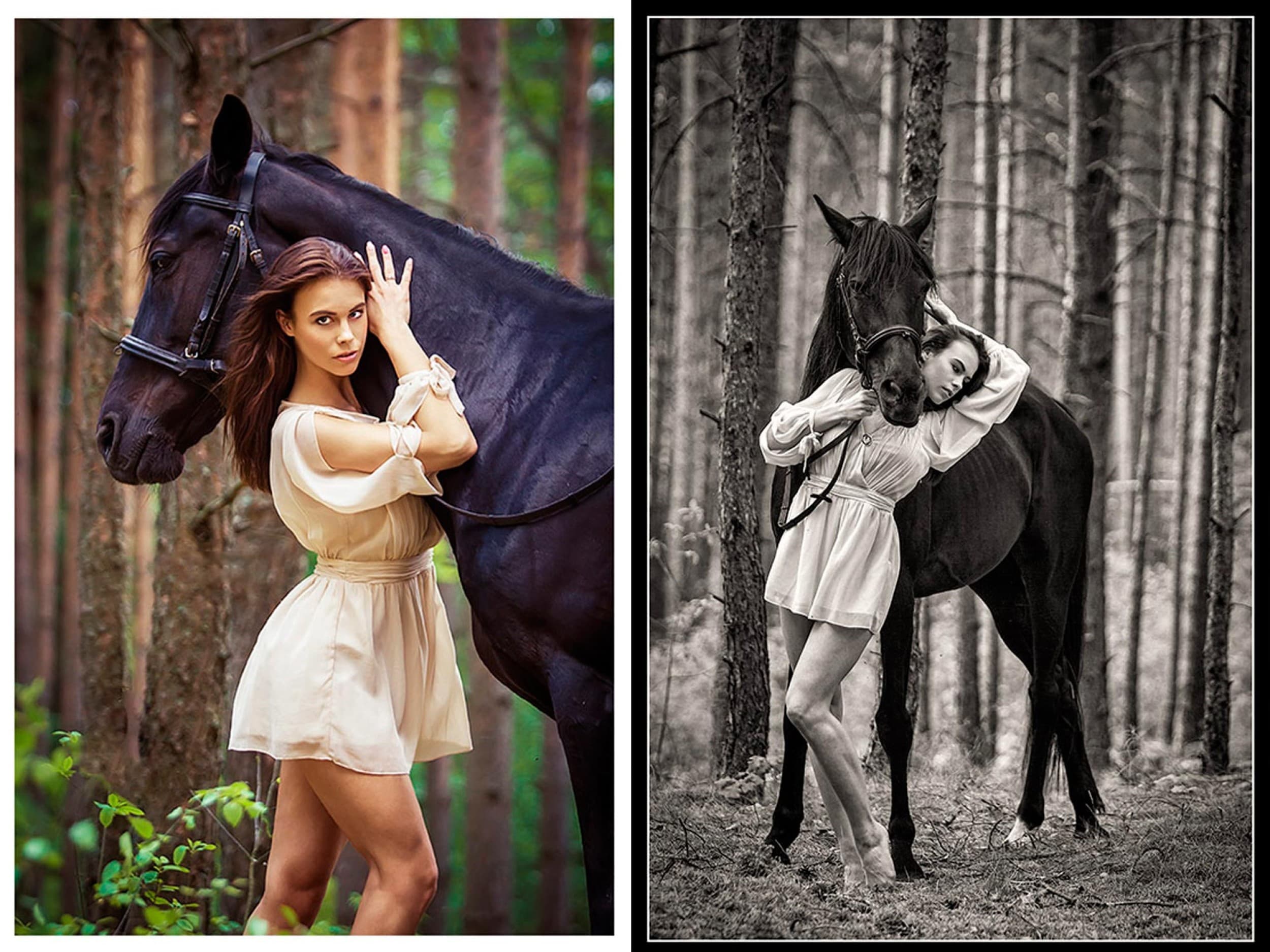 „Fotororo Photography“ fotosesija su žirgu | Laisvalaikio Dovanos