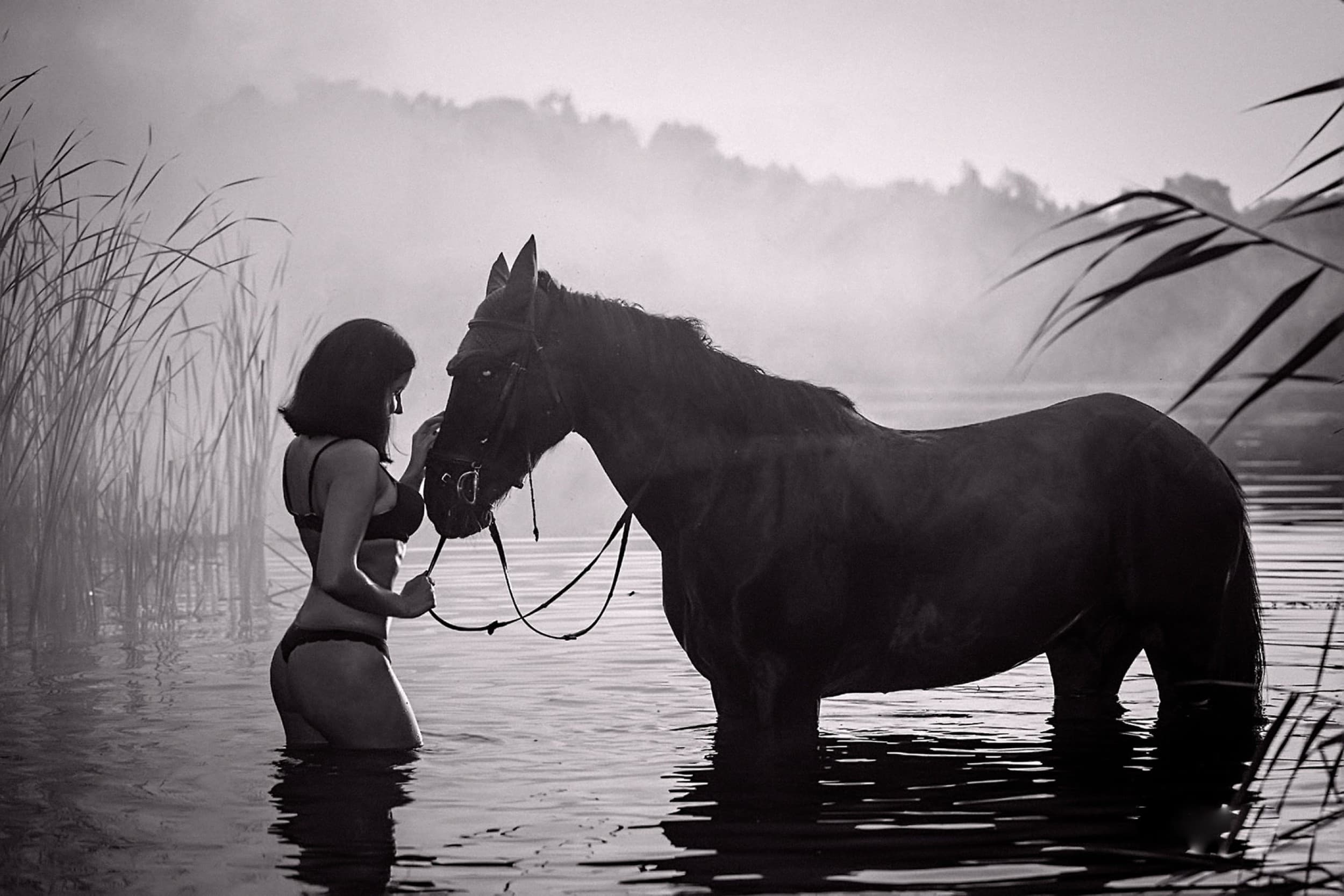 „Fotororo Photography“ fotosesija su žirgu | Laisvalaikio Dovanos