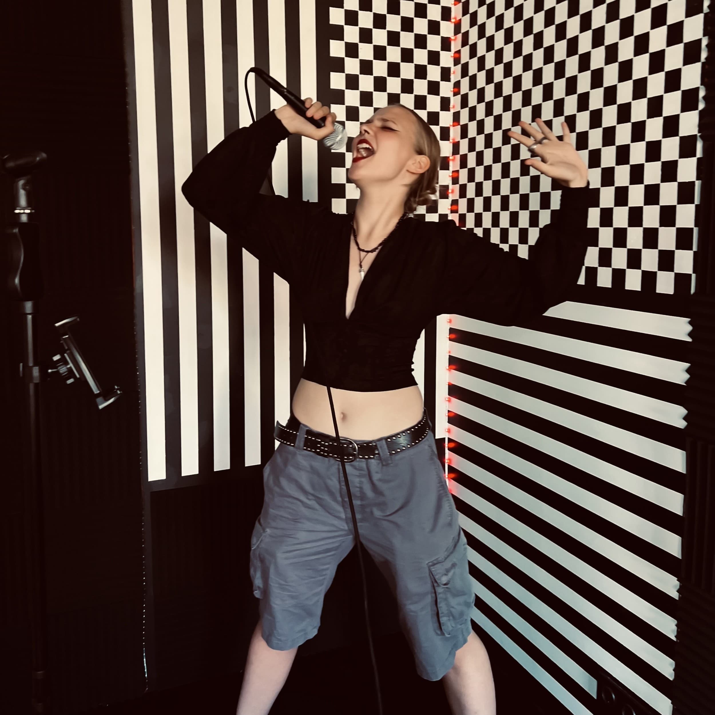 4 dainavimo pamokos studijoje „Studio 34“ | Laisvalaikio Dovanos