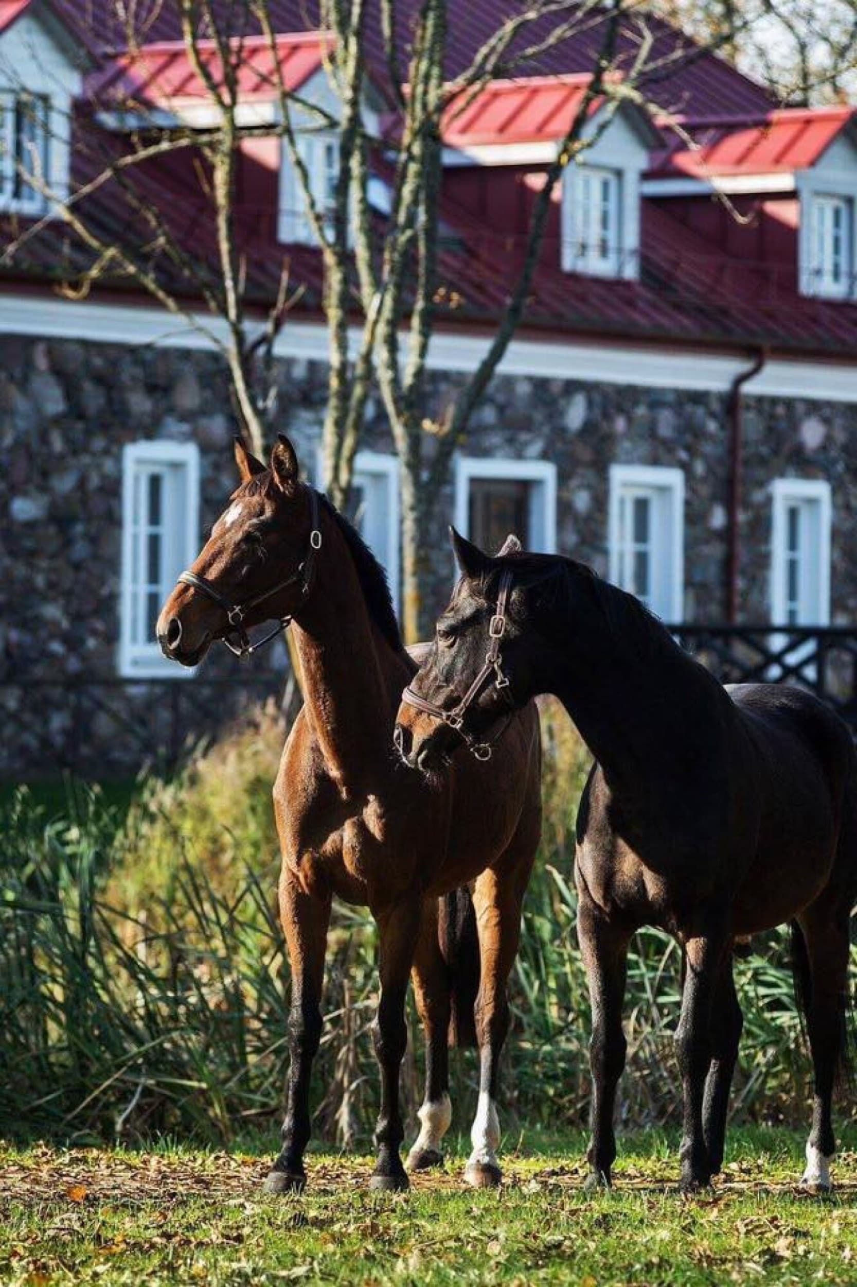 LIUKSO poilsis dvare su SPA ir jodinėjimu DVIEM | Laisvalaikio Dovanos