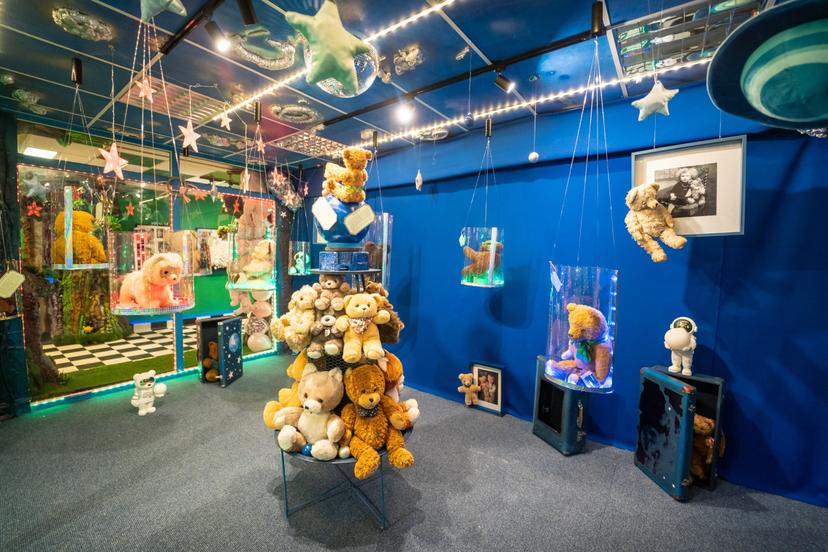 Apsilankymas Raganiukės teatro naujame meškinų muziejuje „PLUSHY B 55“ dviem