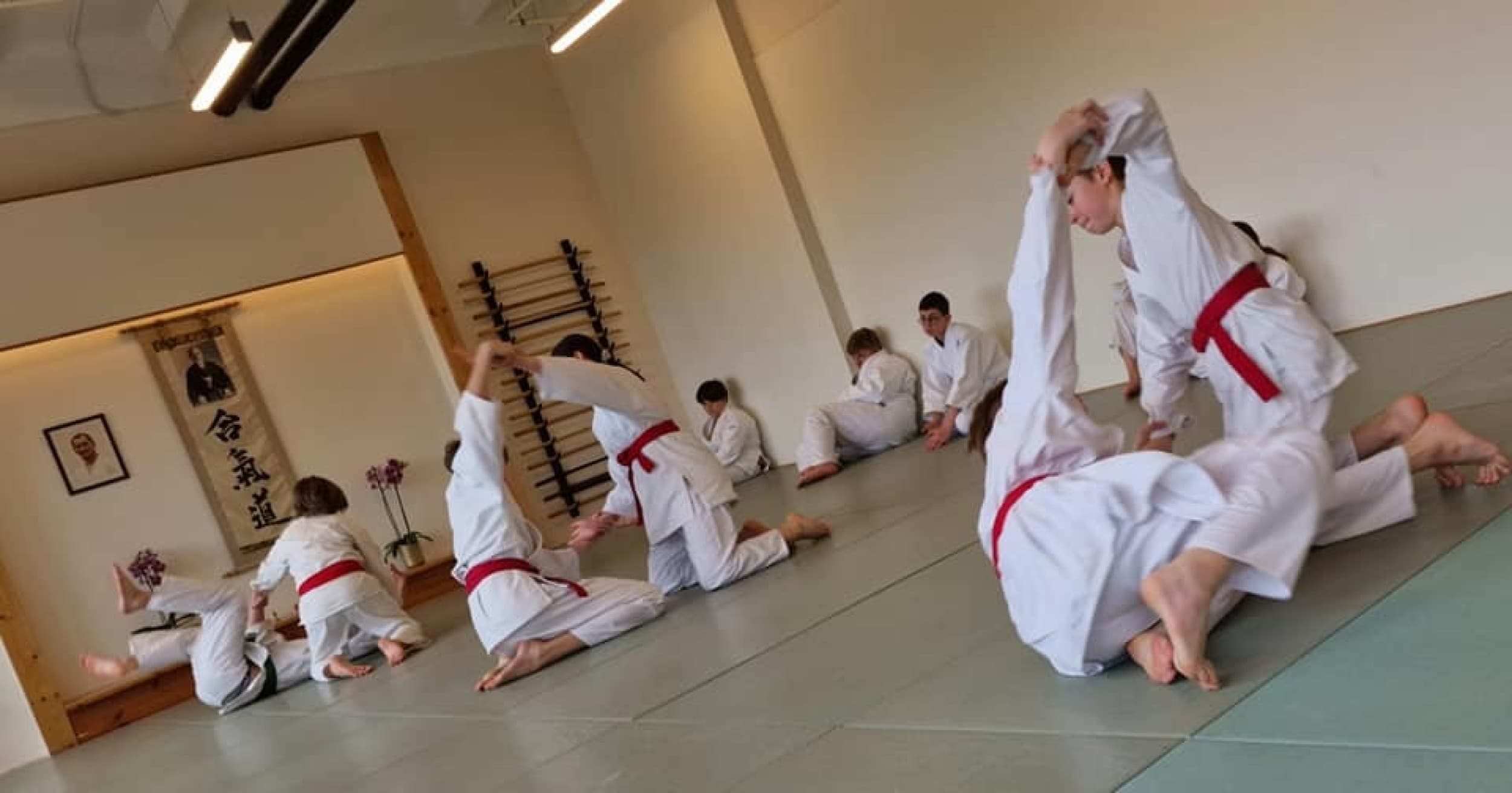 Aikido treniruotės paaugliams