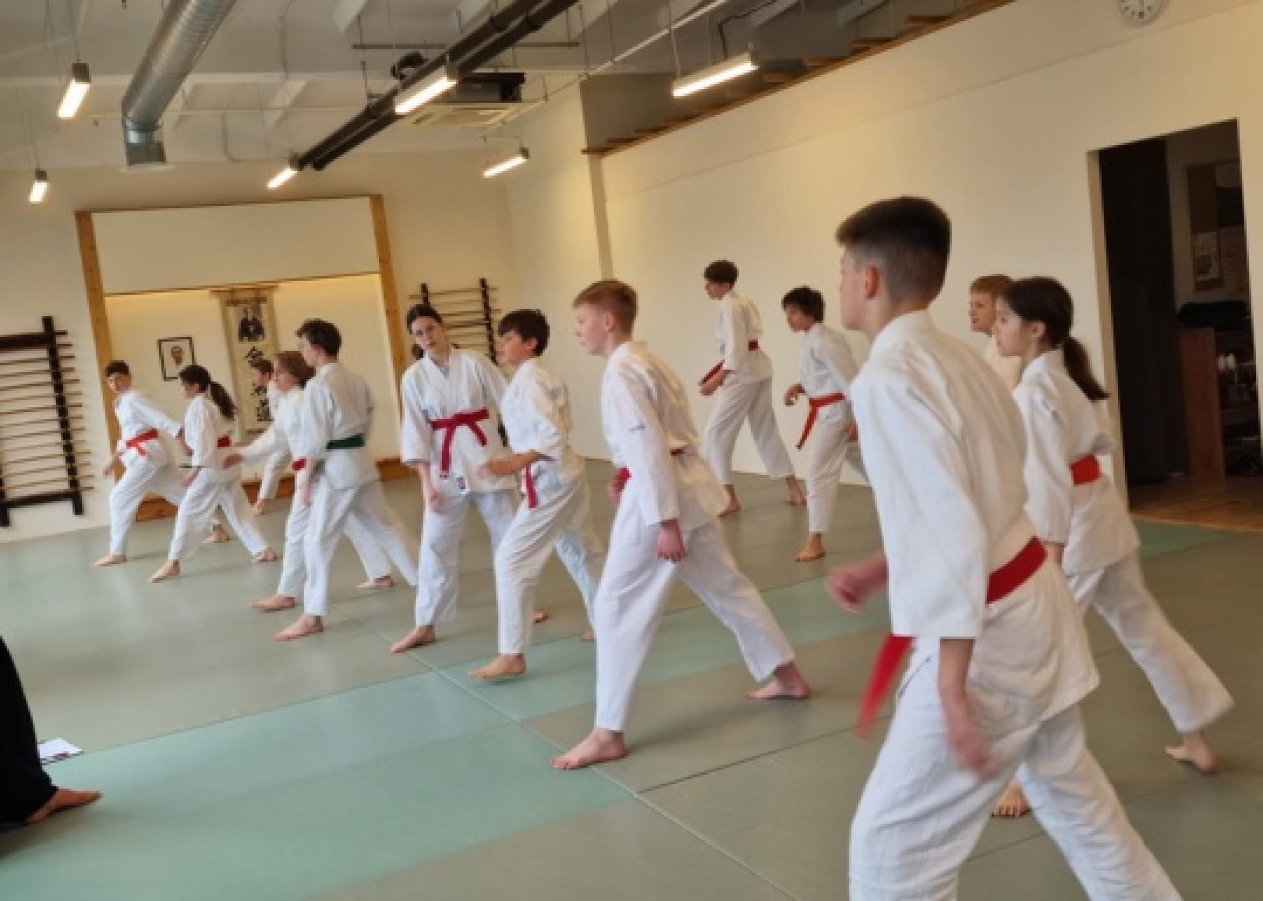 Aikido treniruotės paaugliams
