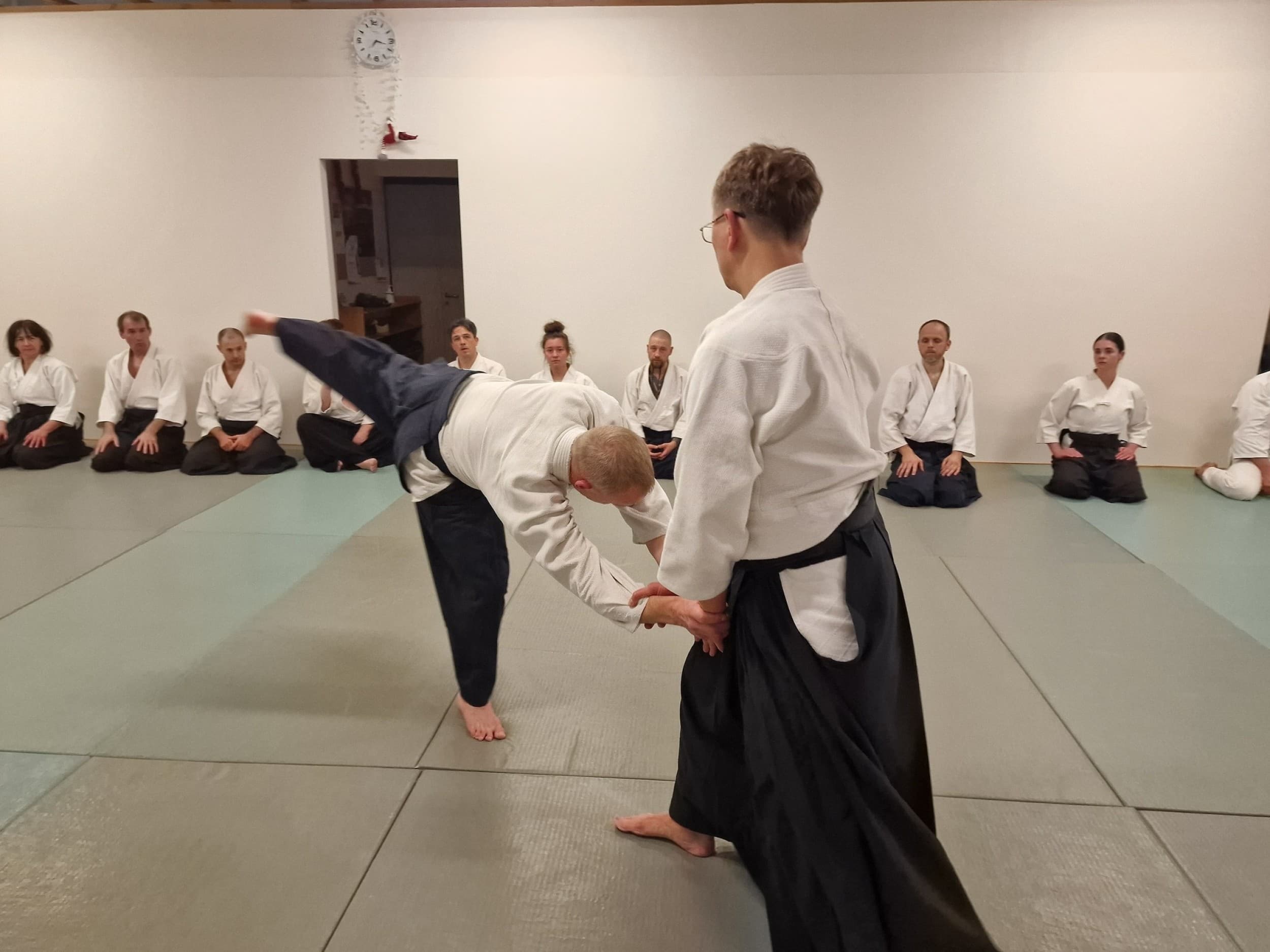 Aikido treniruotės suaugusiems | Laisvalaikio Dovanos
