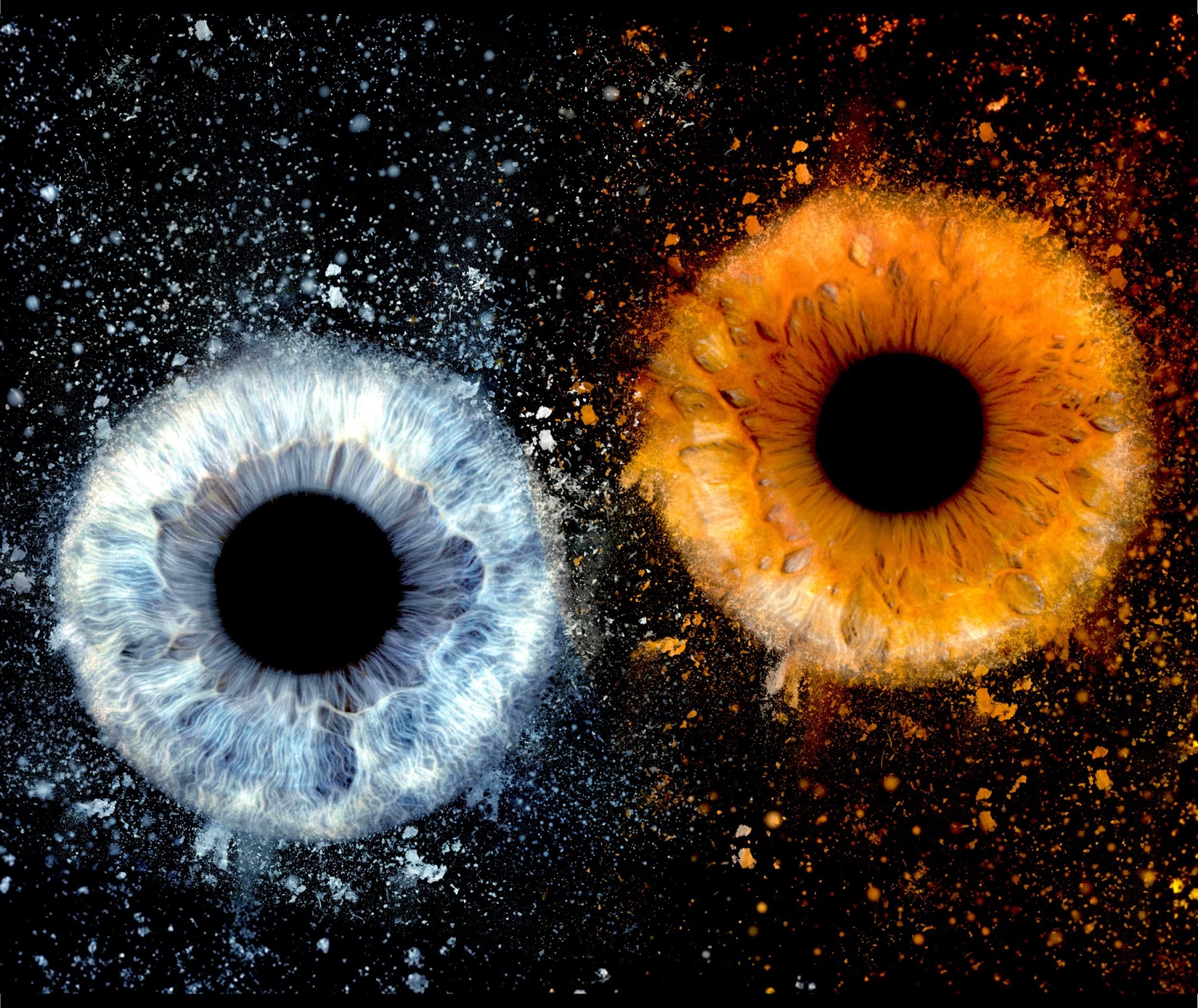 Skaitmeninė 2 akių rainelių nuotrauka studijoje „EyeArt“