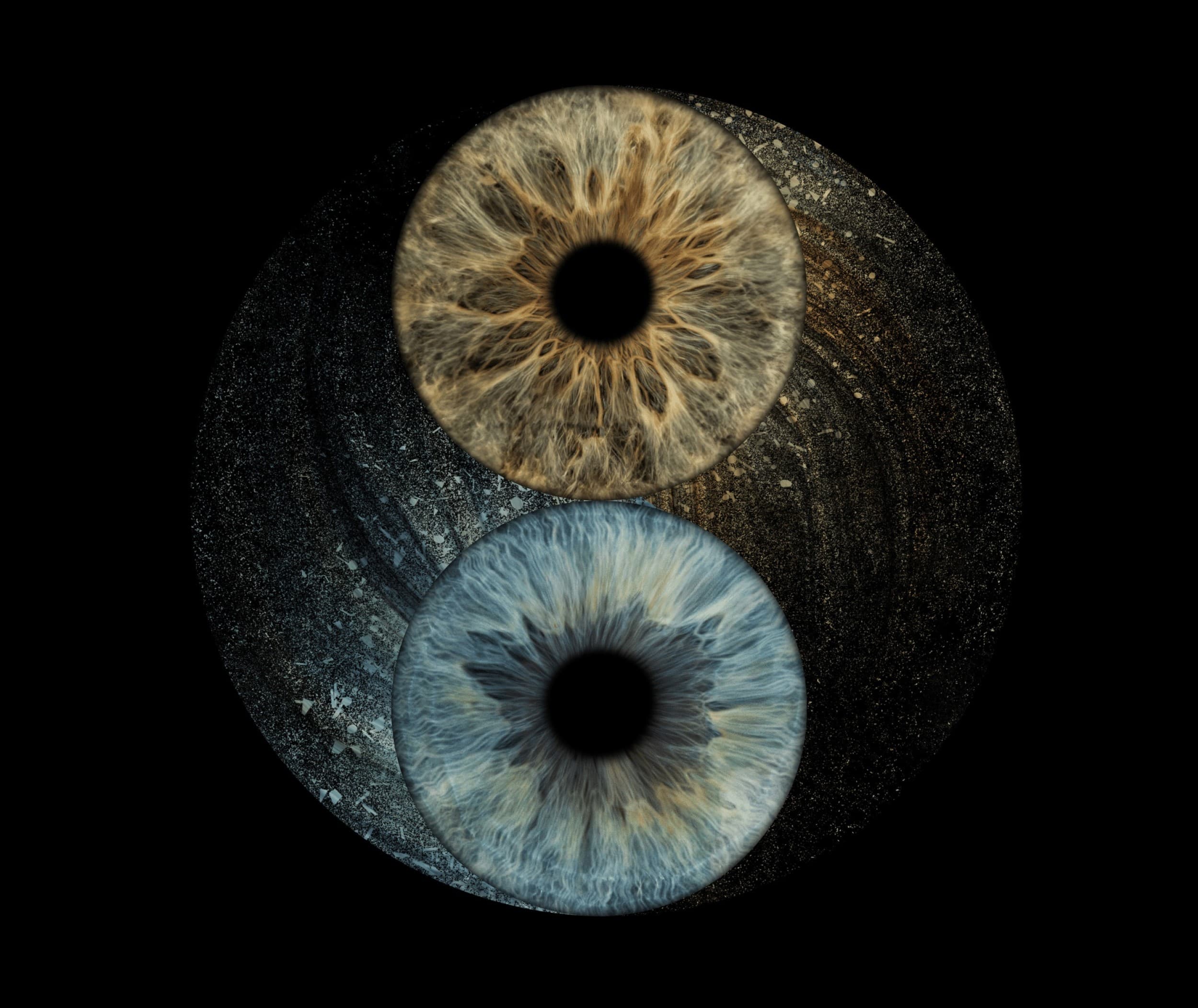 Skaitmeninė 2 akių rainelių nuotrauka studijoje „EyeArt“