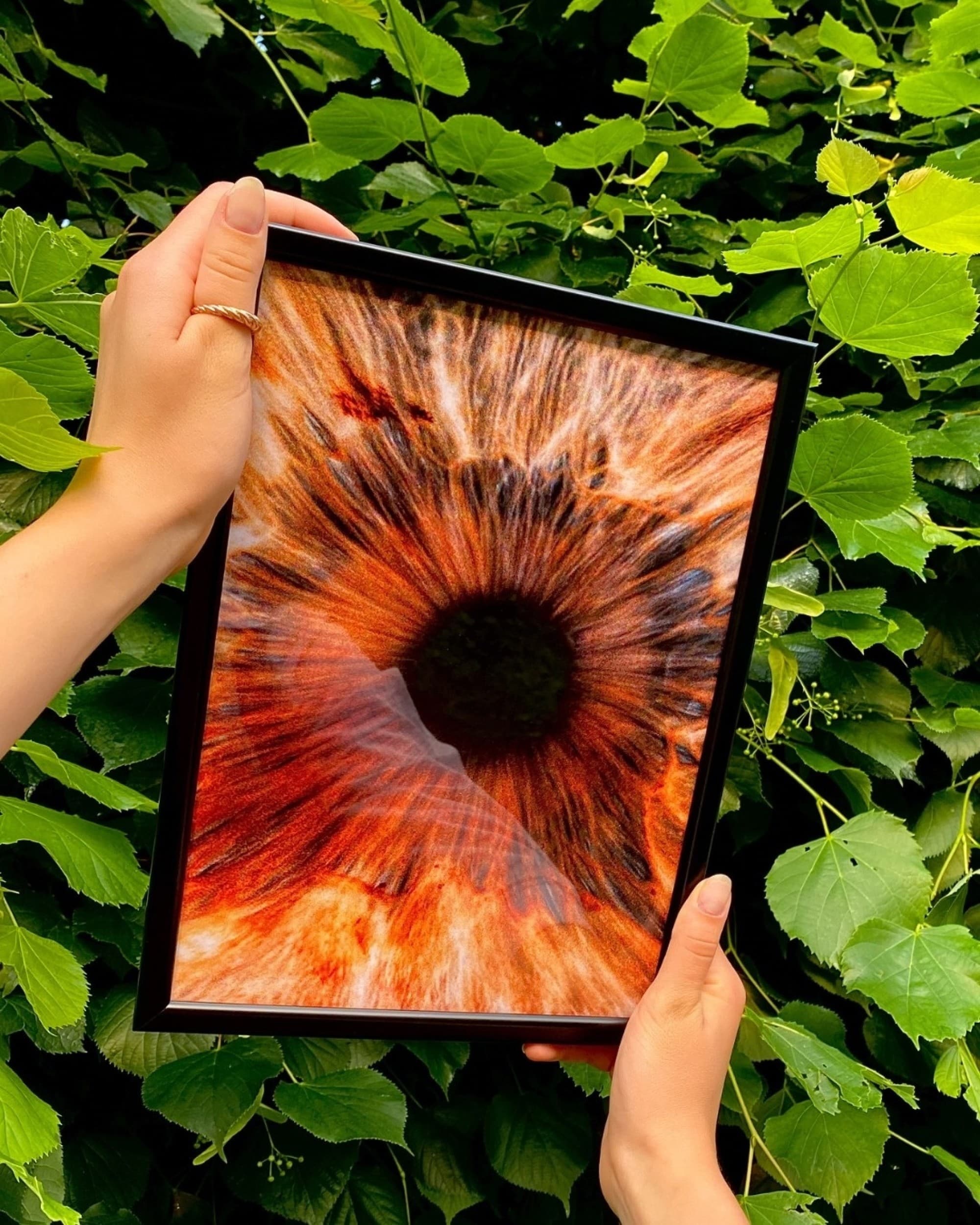 „EyeArt“ dovanų čekis | Laisvalaikio Dovanos