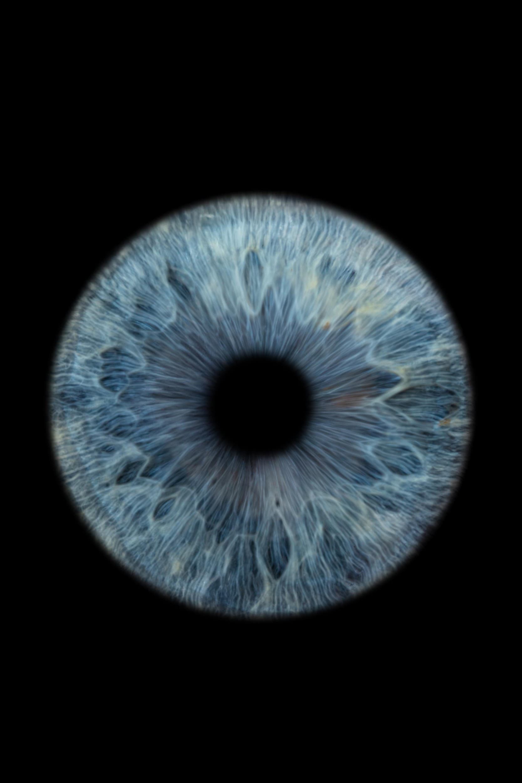 „EyeArt“ dovanų čekis | Laisvalaikio Dovanos