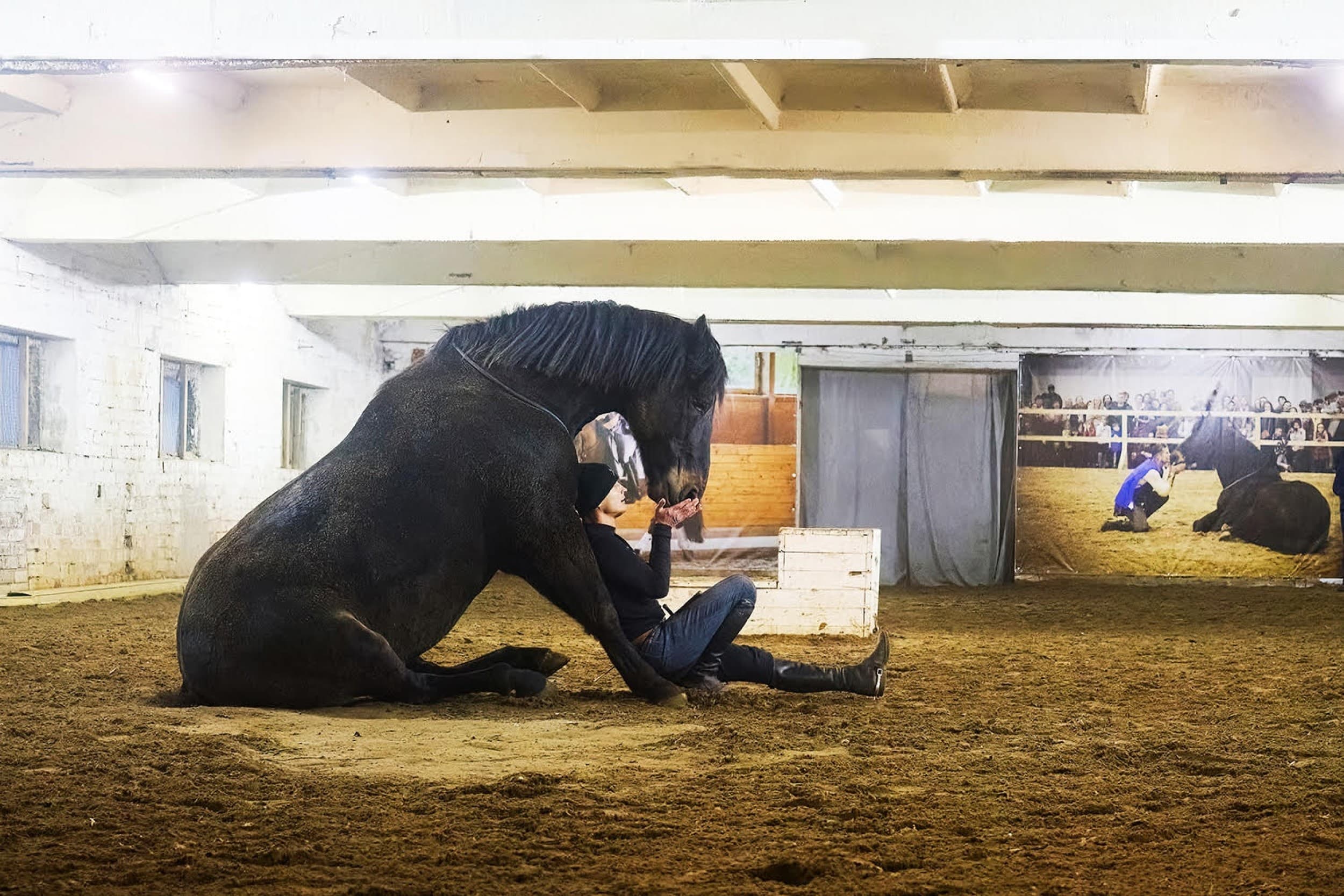 Įspūdingas žirgų teatro pasirodymas | Laisvalaikio Dovanos