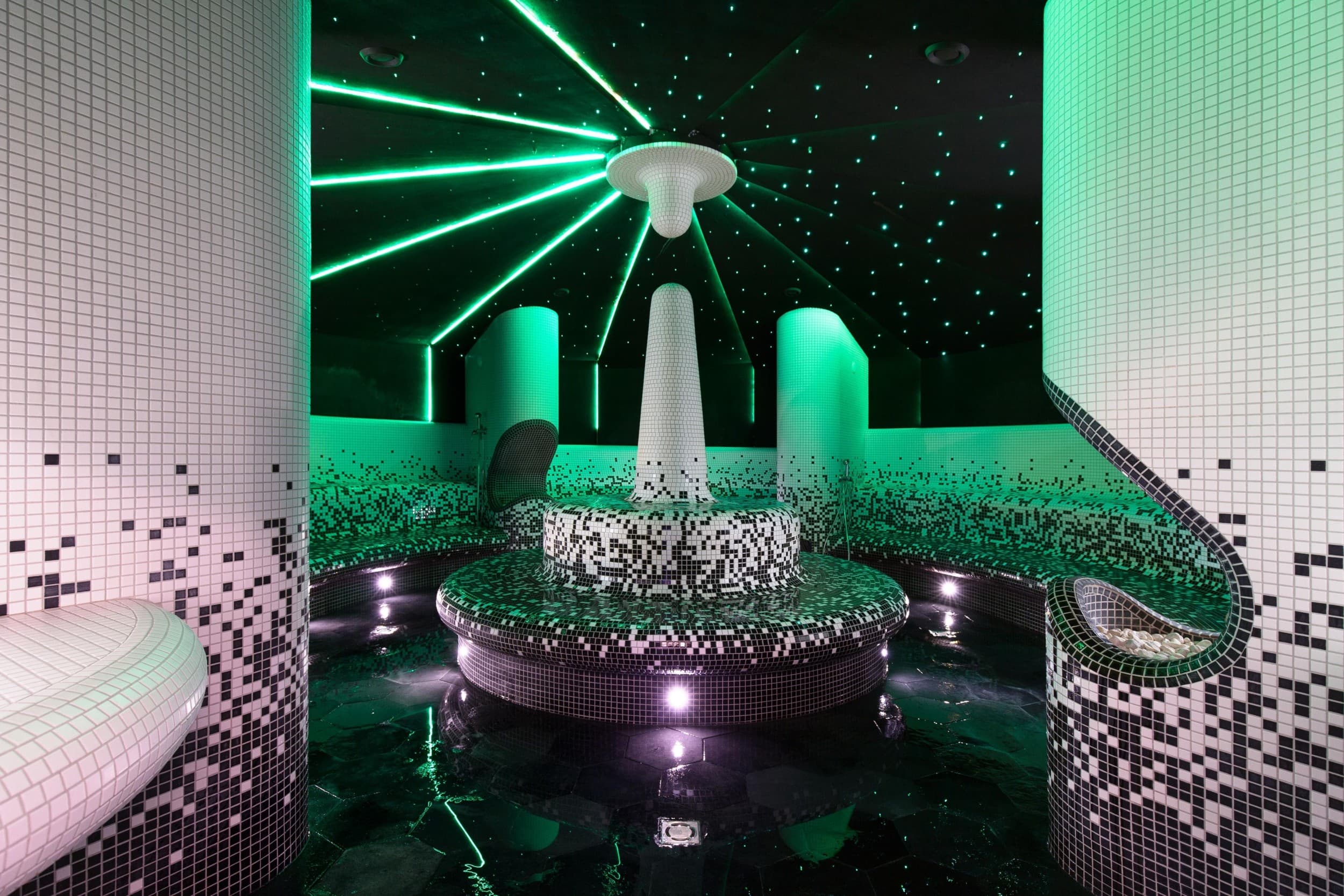 SPA poilsis su vakariene DVIEM „Vytautas Mineral SPA“